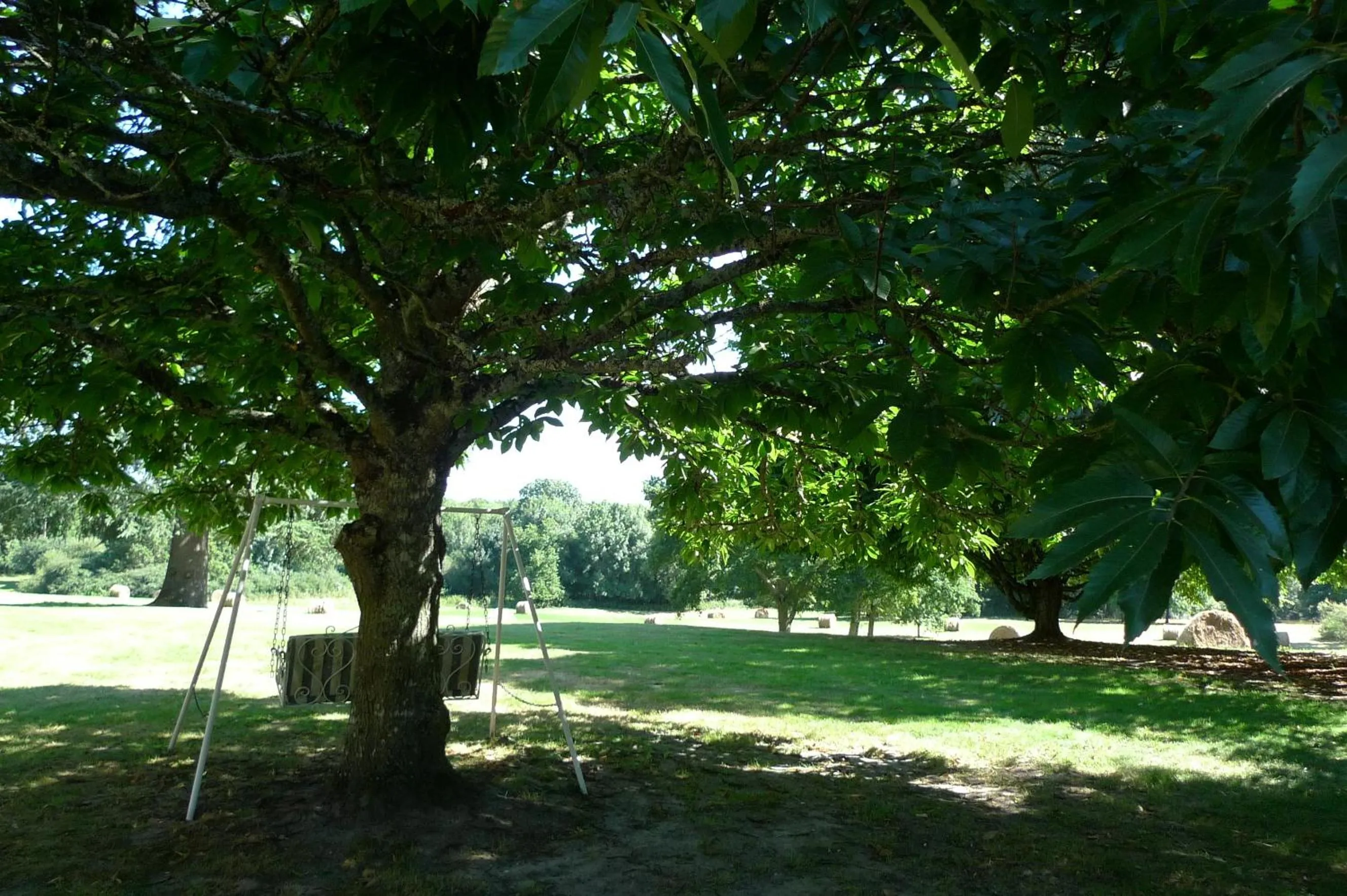 Garden in Hôtes de Montboulan