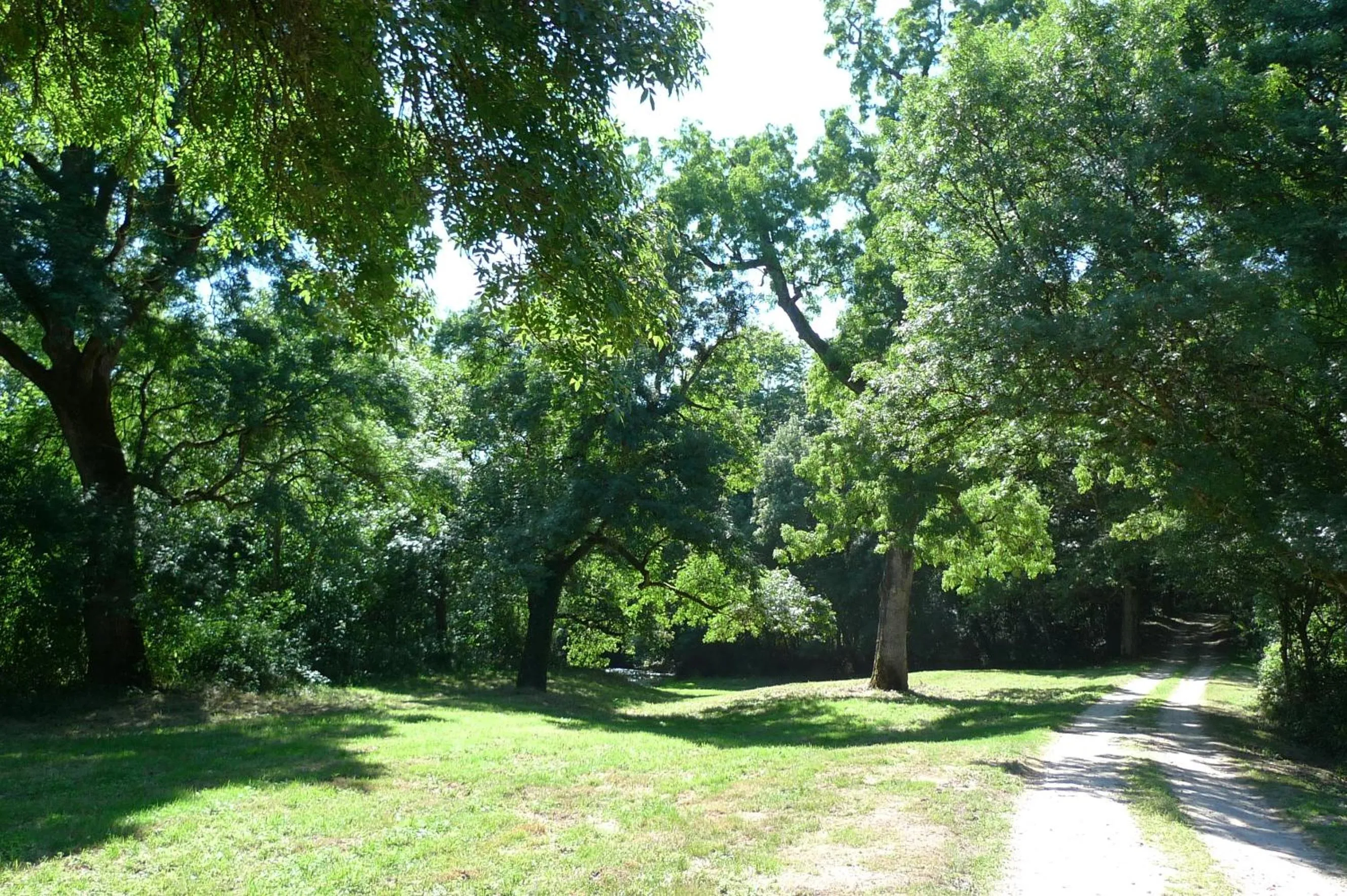 Garden in Hôtes de Montboulan