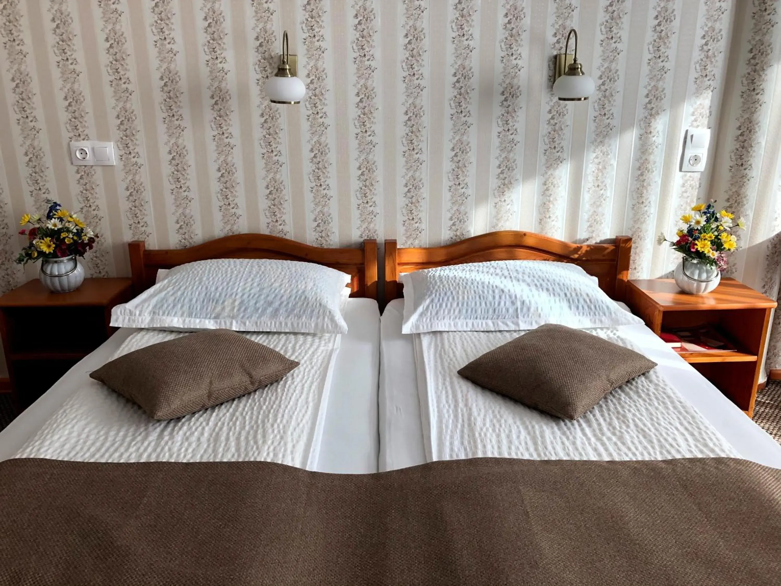 Twin Room in Pensiunea Lucia Twin Room in Pensiunea Lucia