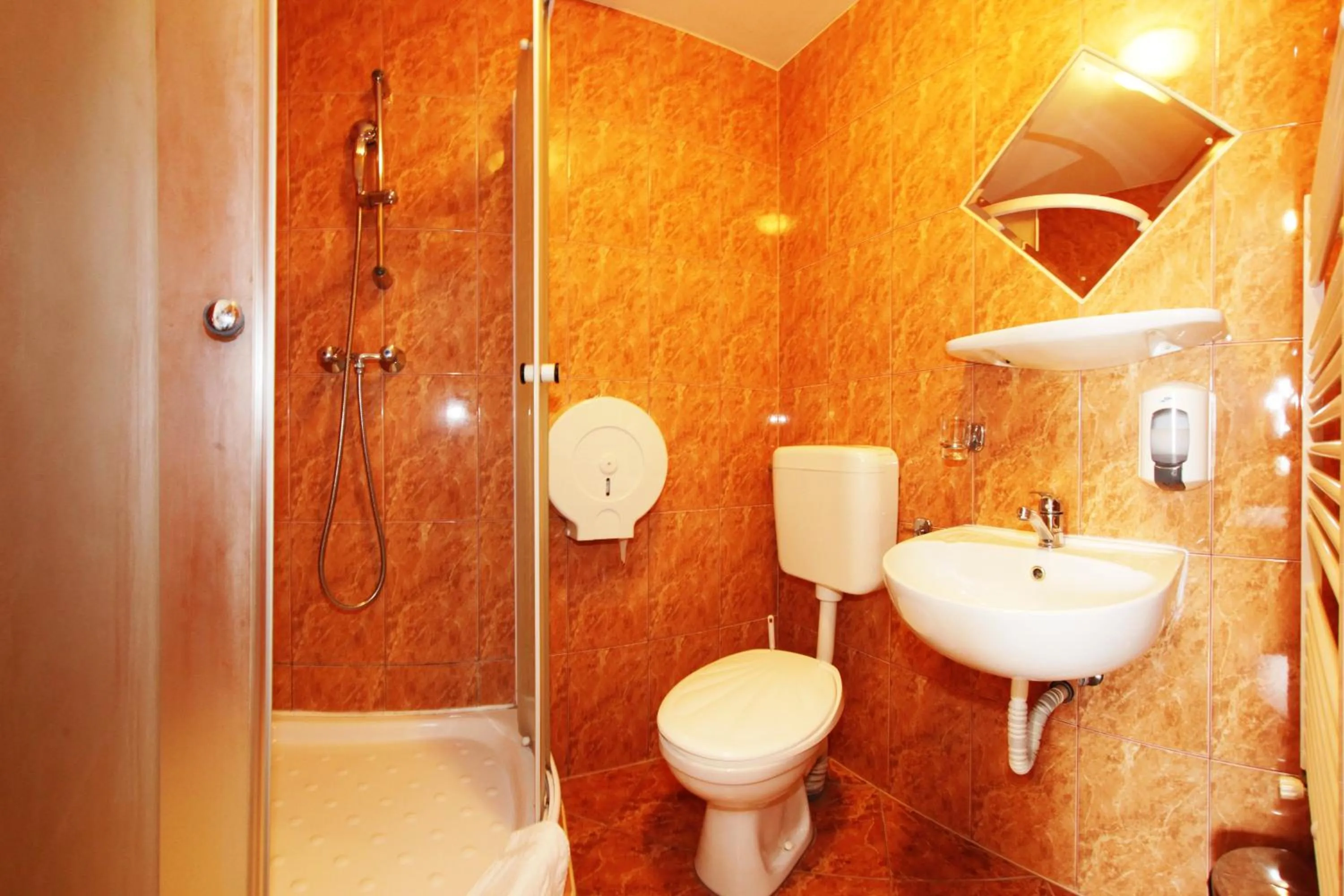 Double Room in Pensiunea Lucia