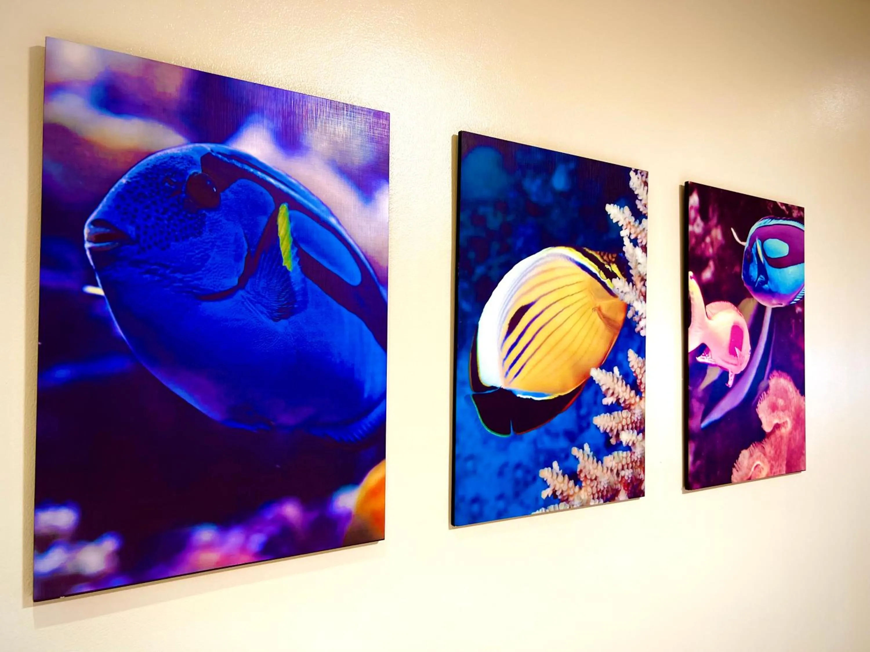 Vencejos Inn - El Nido