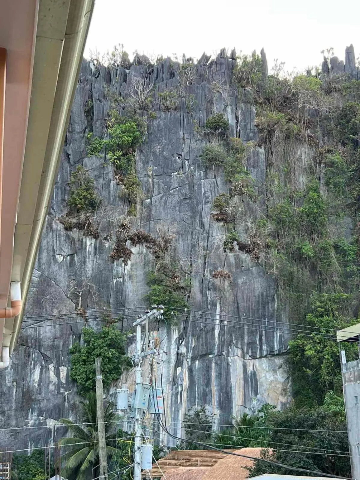 Vencejos Inn - El Nido