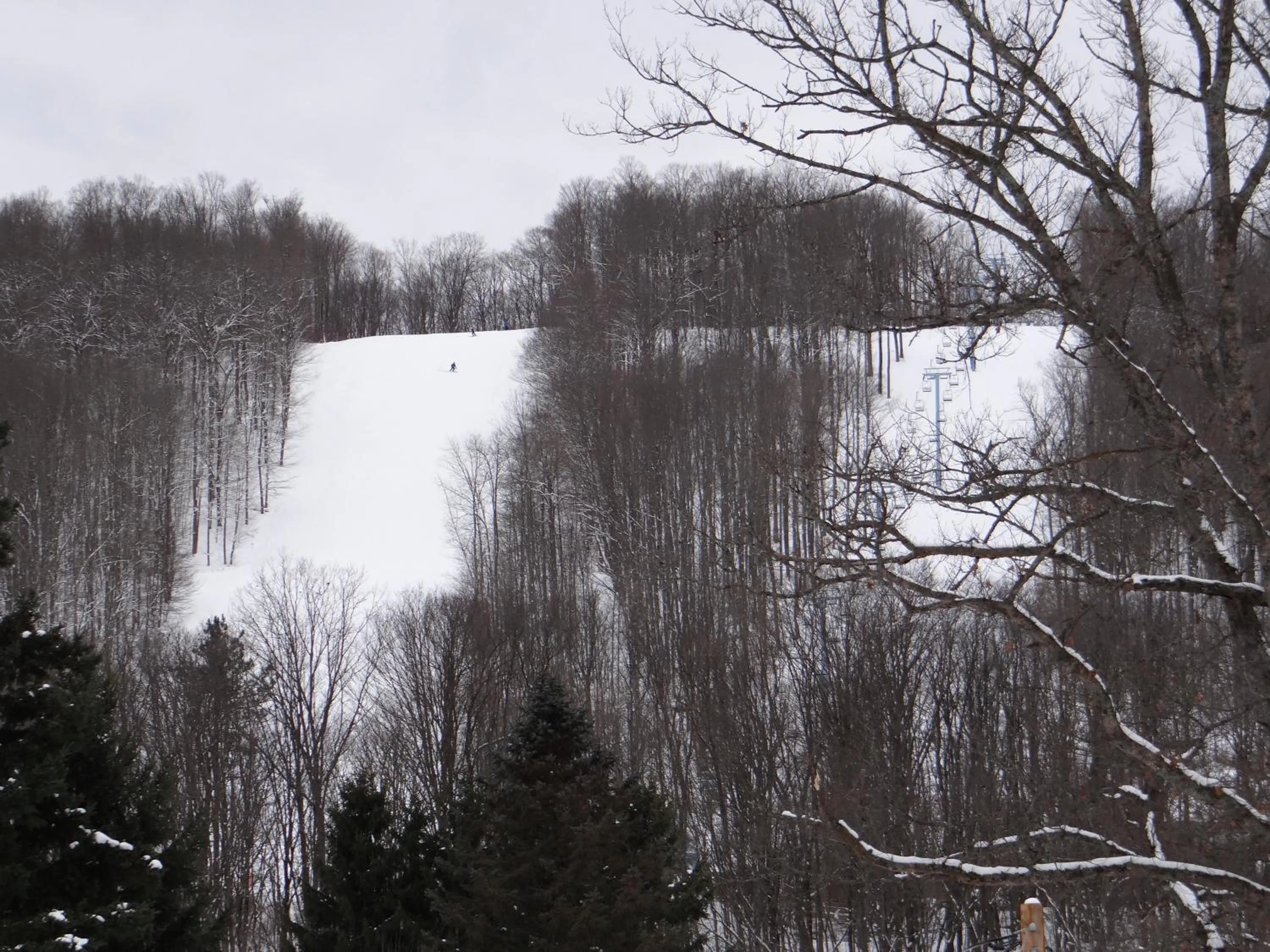 Natural landscape in Edelweiss Ski Lodge