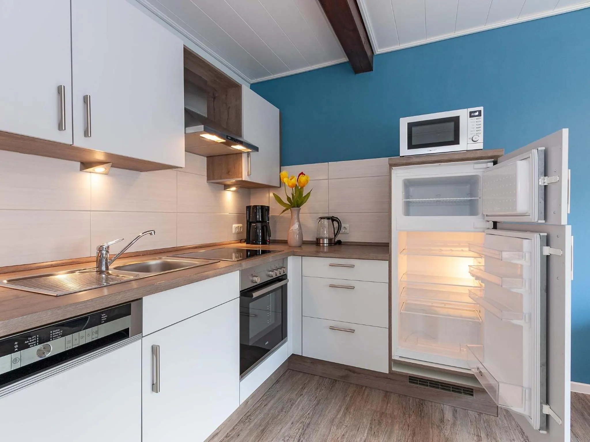 Kitchen or kitchenette in Ferienwohnanlage Lübben