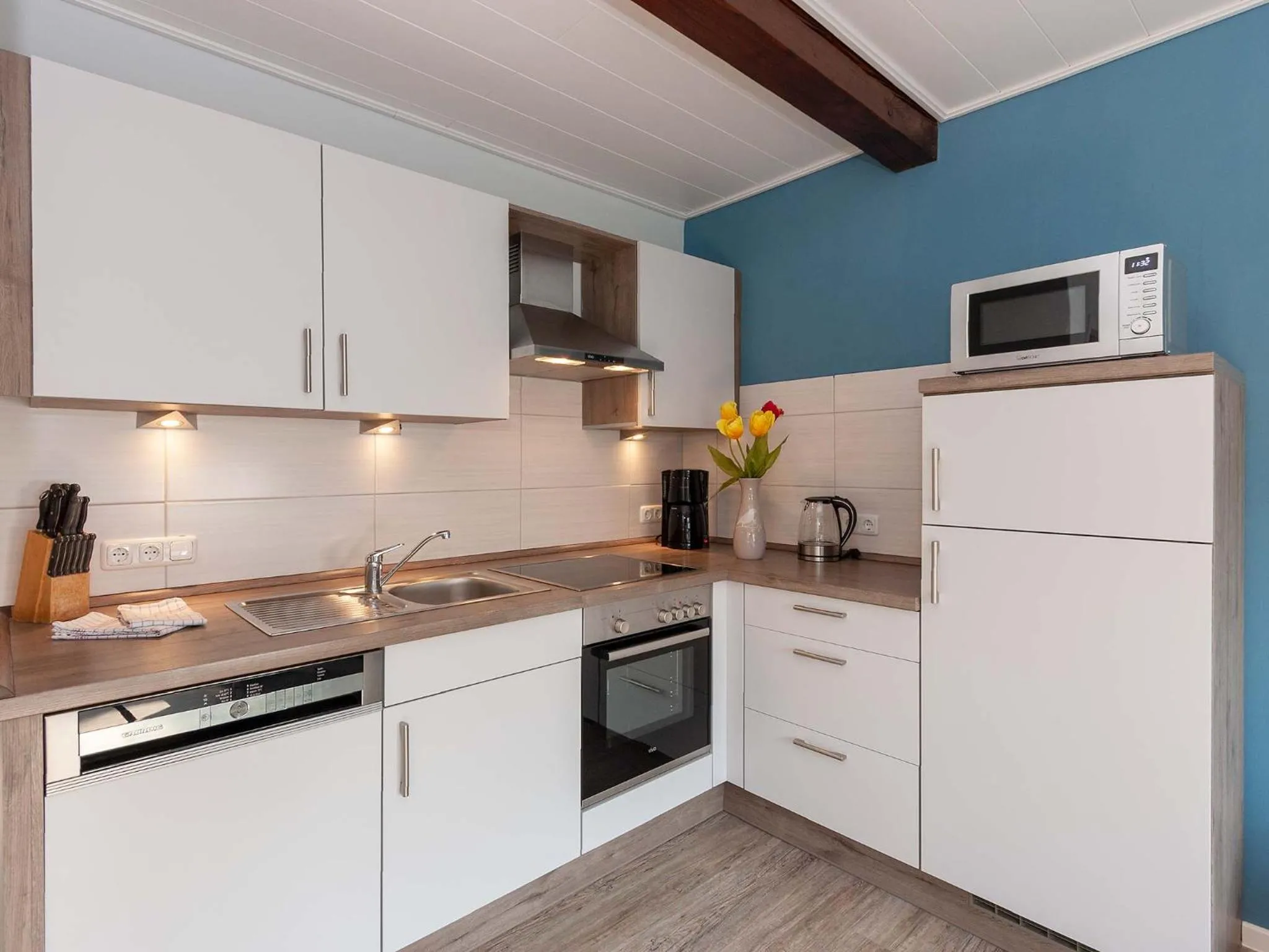 Kitchen or kitchenette in Ferienwohnanlage Lübben