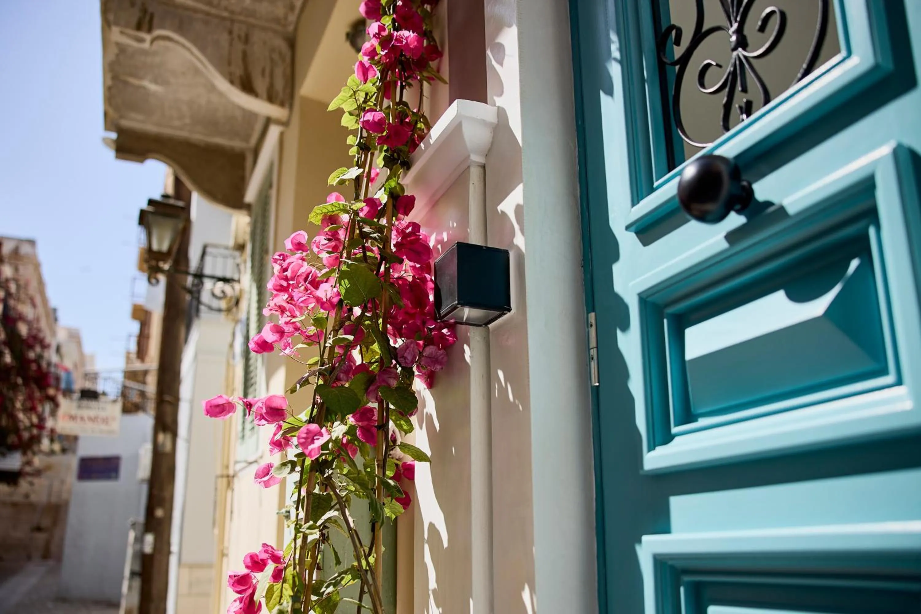 Property building in Syroc Maison