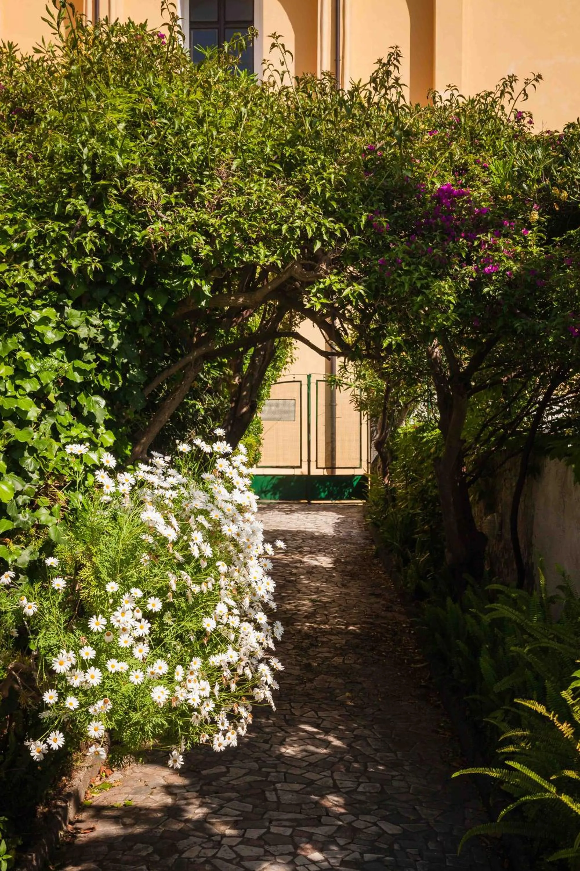 Facade/entrance in Villa Panoramica - Ischia Ponte