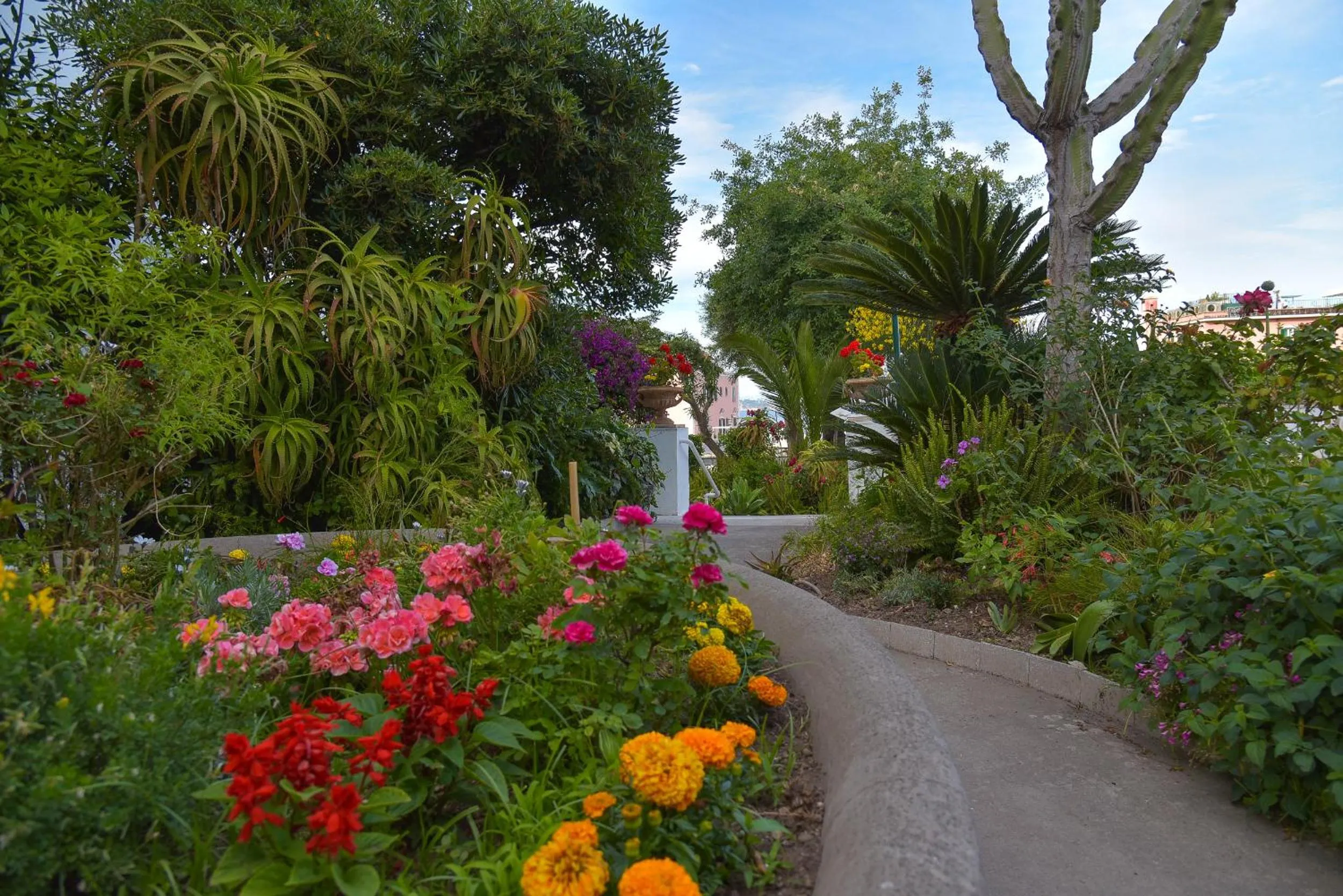 Garden in Villa Panoramica - Ischia Ponte