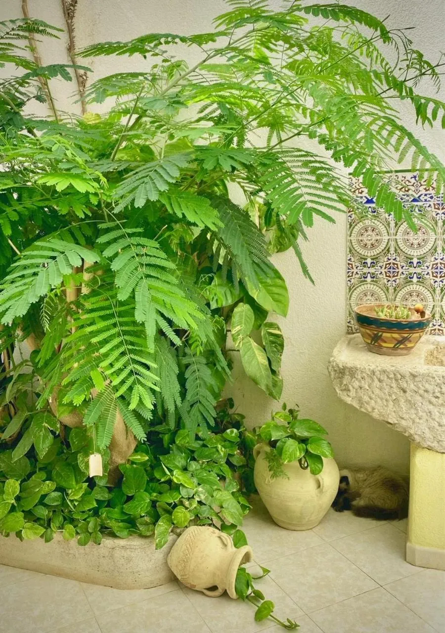 Garden view in Araba Fenice Hotel