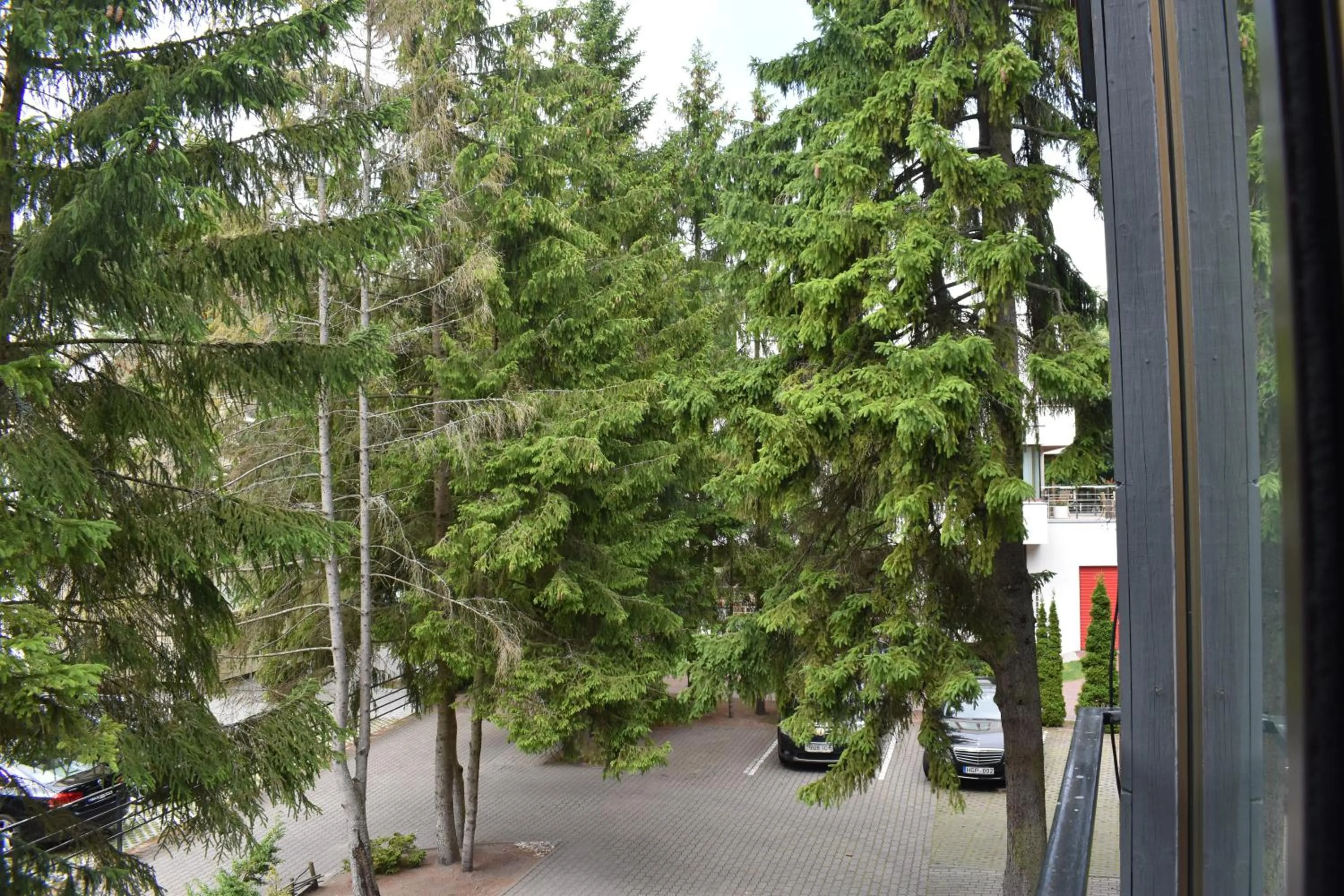 Natural landscape in Saulės Krantas