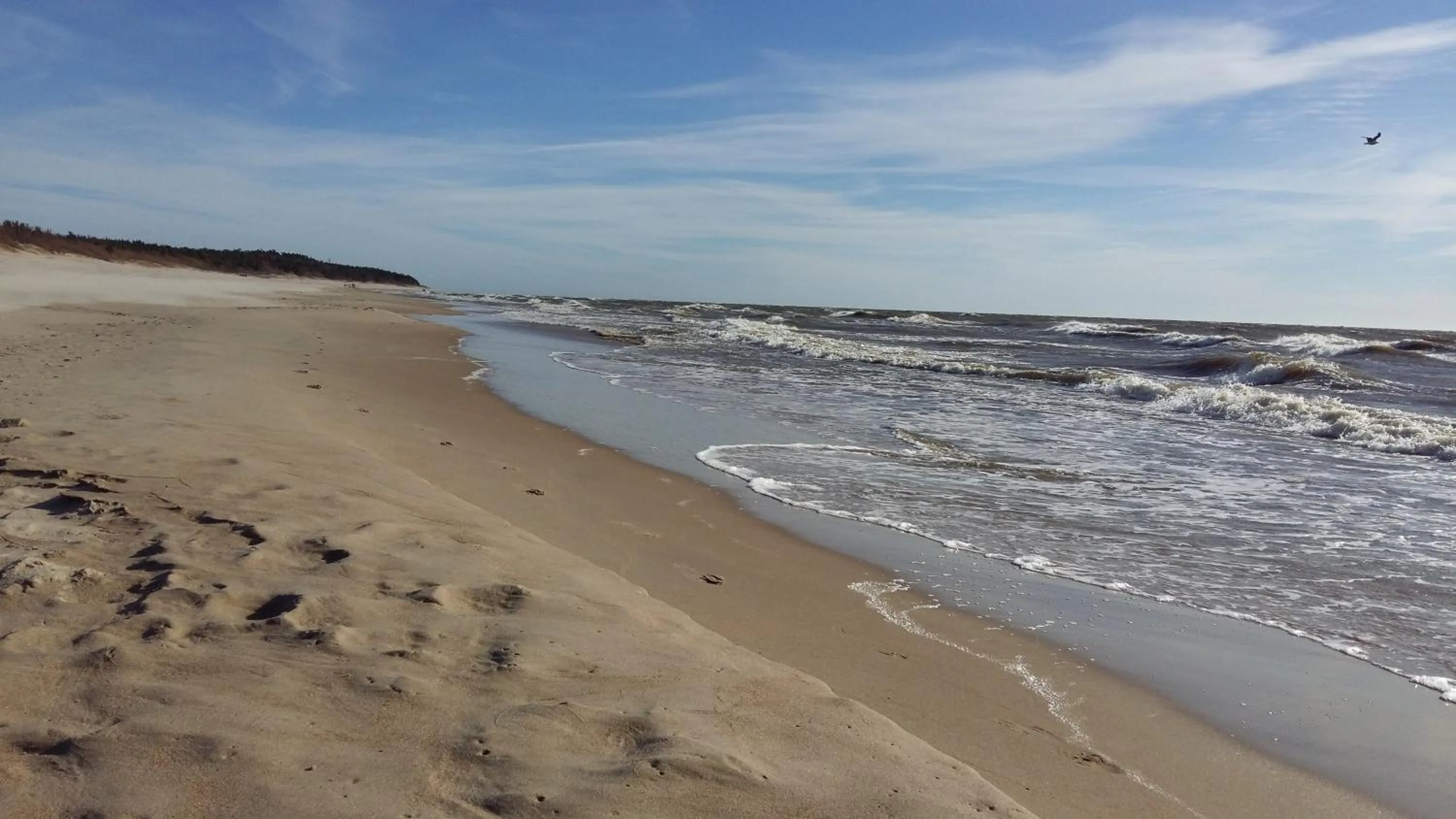 Spring in Saulės Krantas