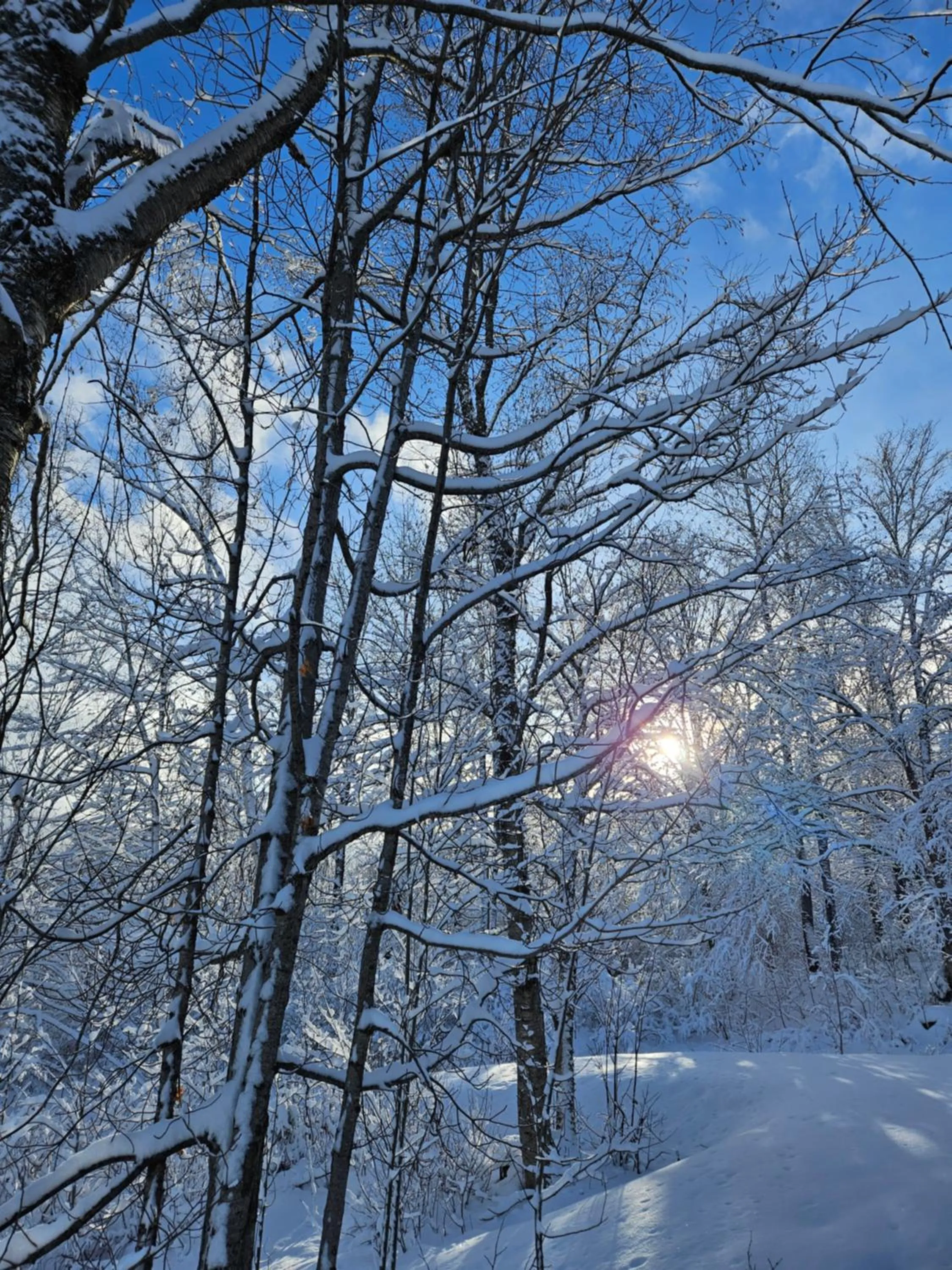 Natural landscape in Parc du Mont-Citadelle