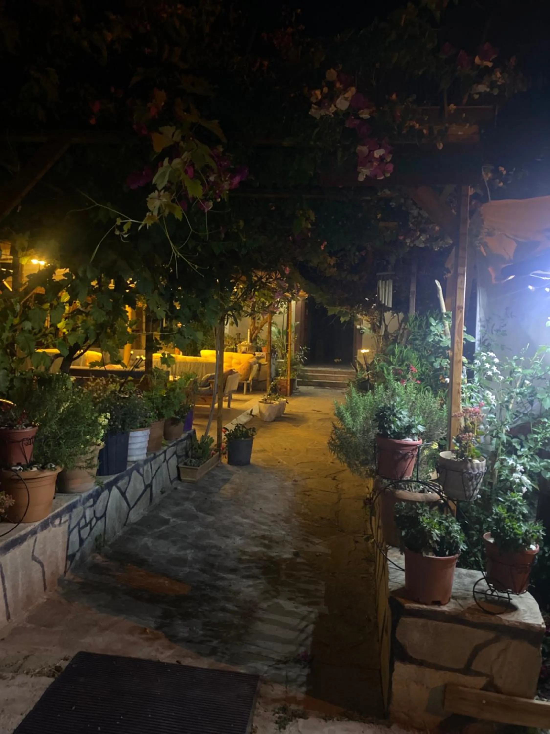 Garden in Rosemary Pansiyon