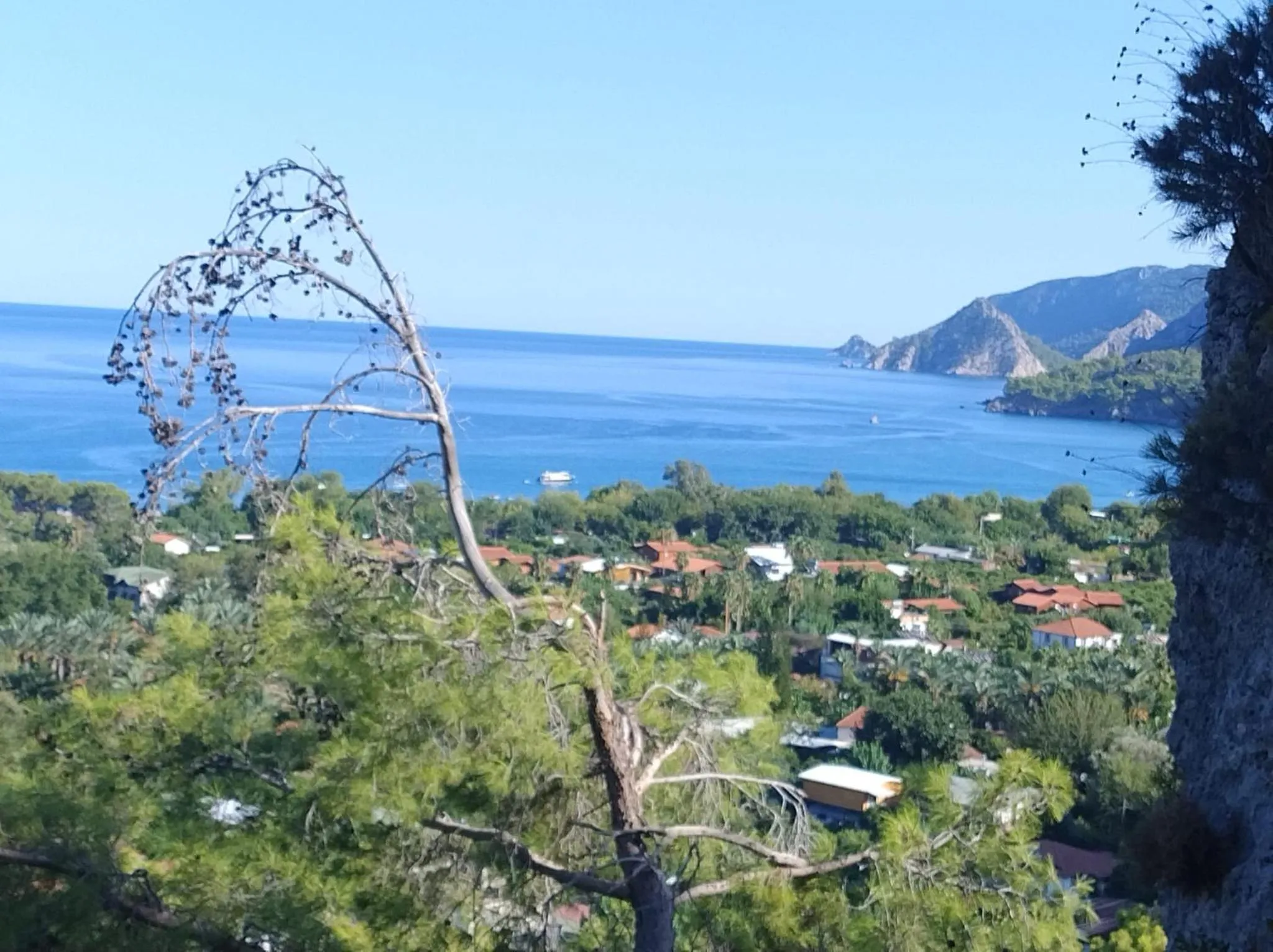 Day in Rosemary Pansiyon