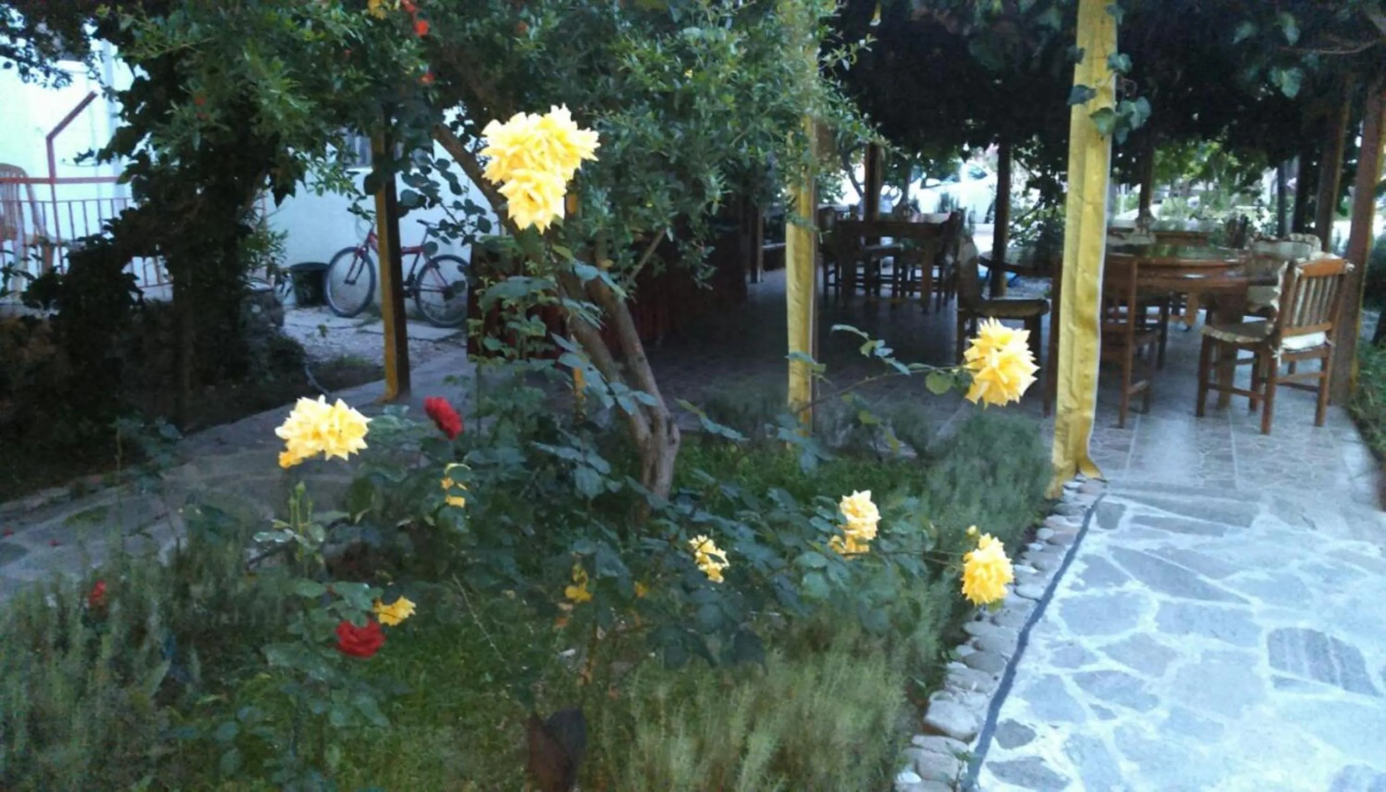Garden view in Rosemary Pansiyon
