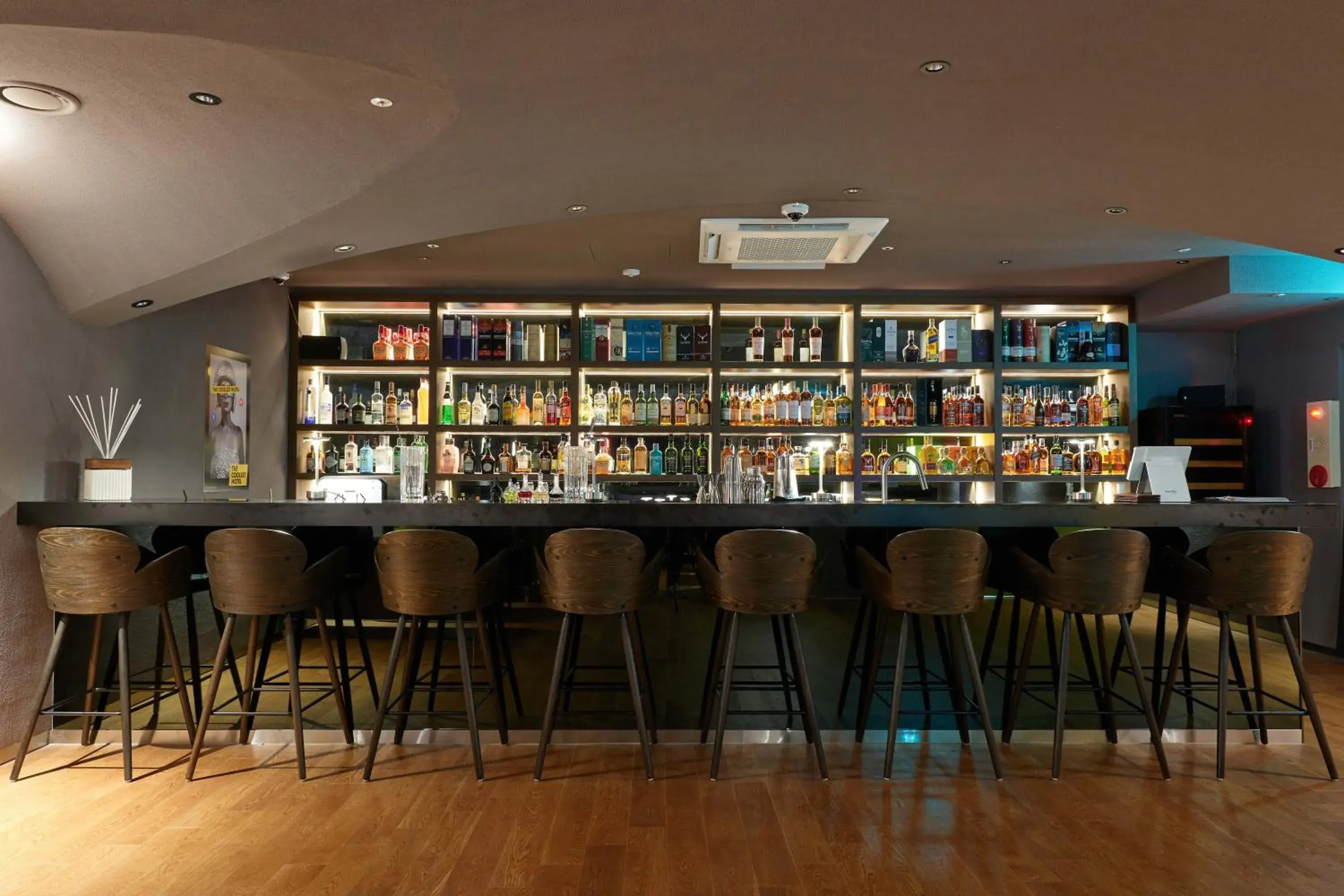 Lounge or bar in The Coolest Hotel Lounge or bar in The Coolest Hotel