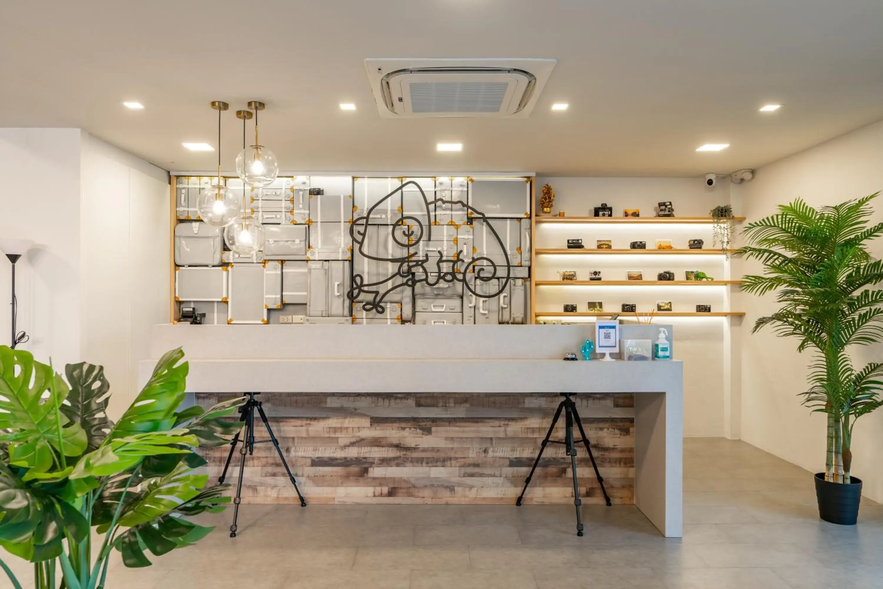 Lobby or reception in Chamemon Bed Phuket Town Lobby or reception in Chamemon Bed Phuket Town