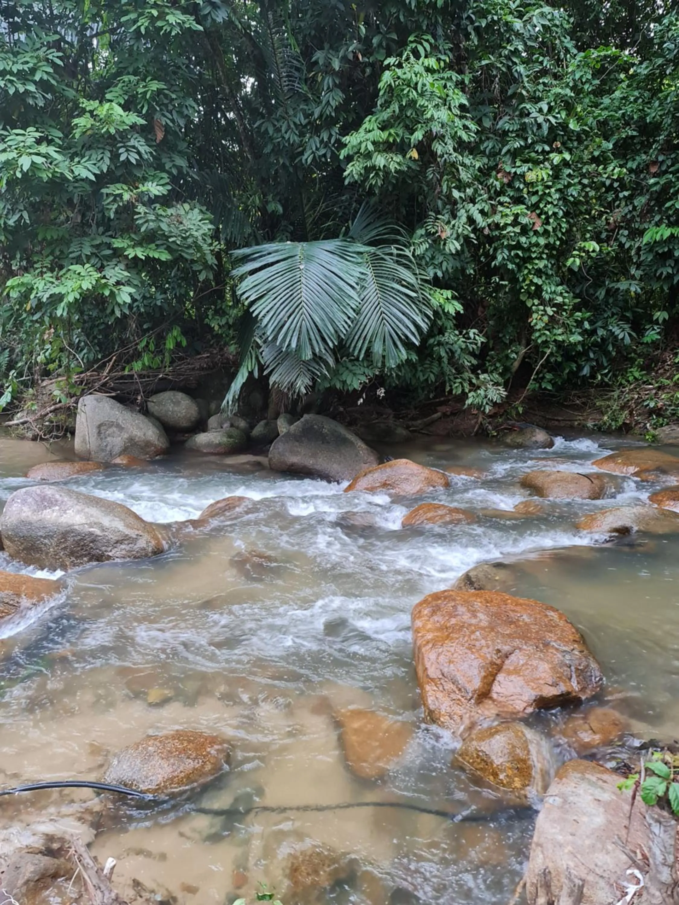 Natural landscape in D'Impiana Riverview Chalet # Lenggong