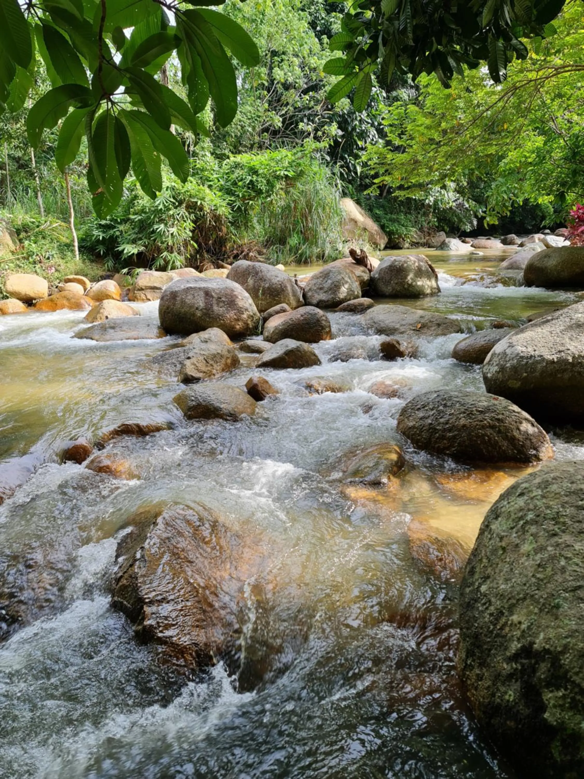 D'Impiana Riverview Chalet # Lenggong