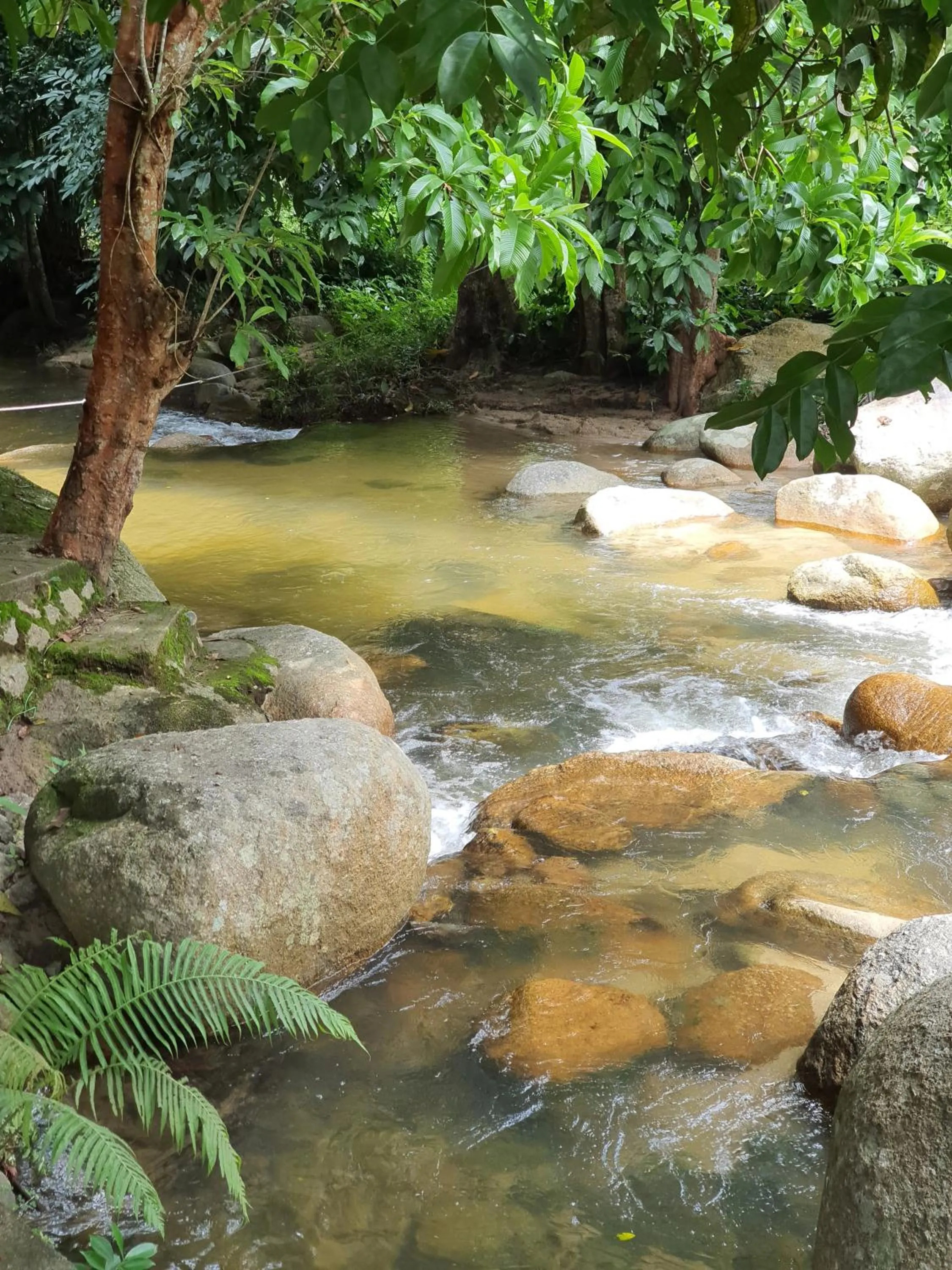 Natural landscape in D'Impiana Riverview Chalet # Lenggong
