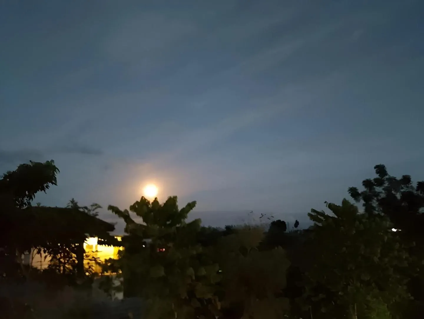 Day in Hotel Arda Bali