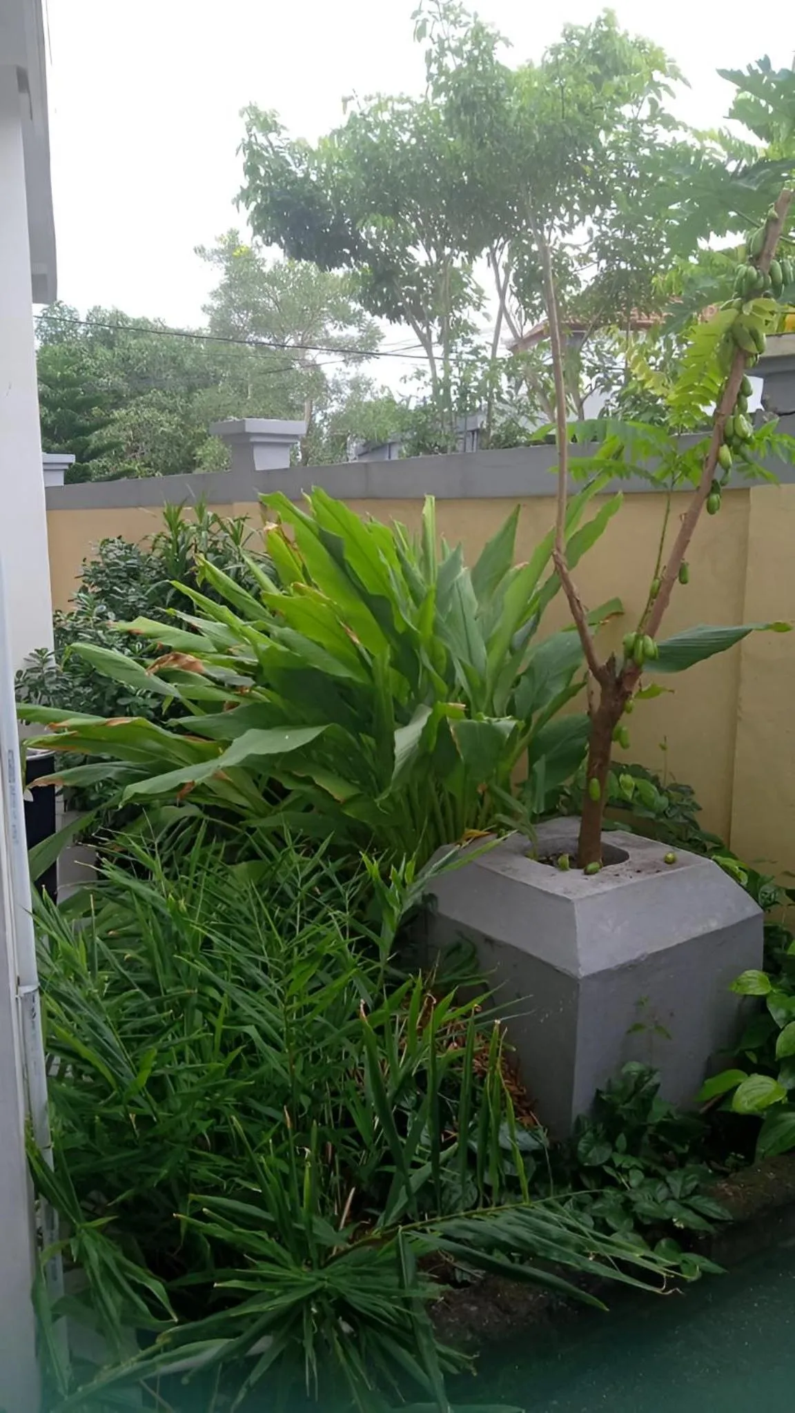 Day in Hotel Arda Bali