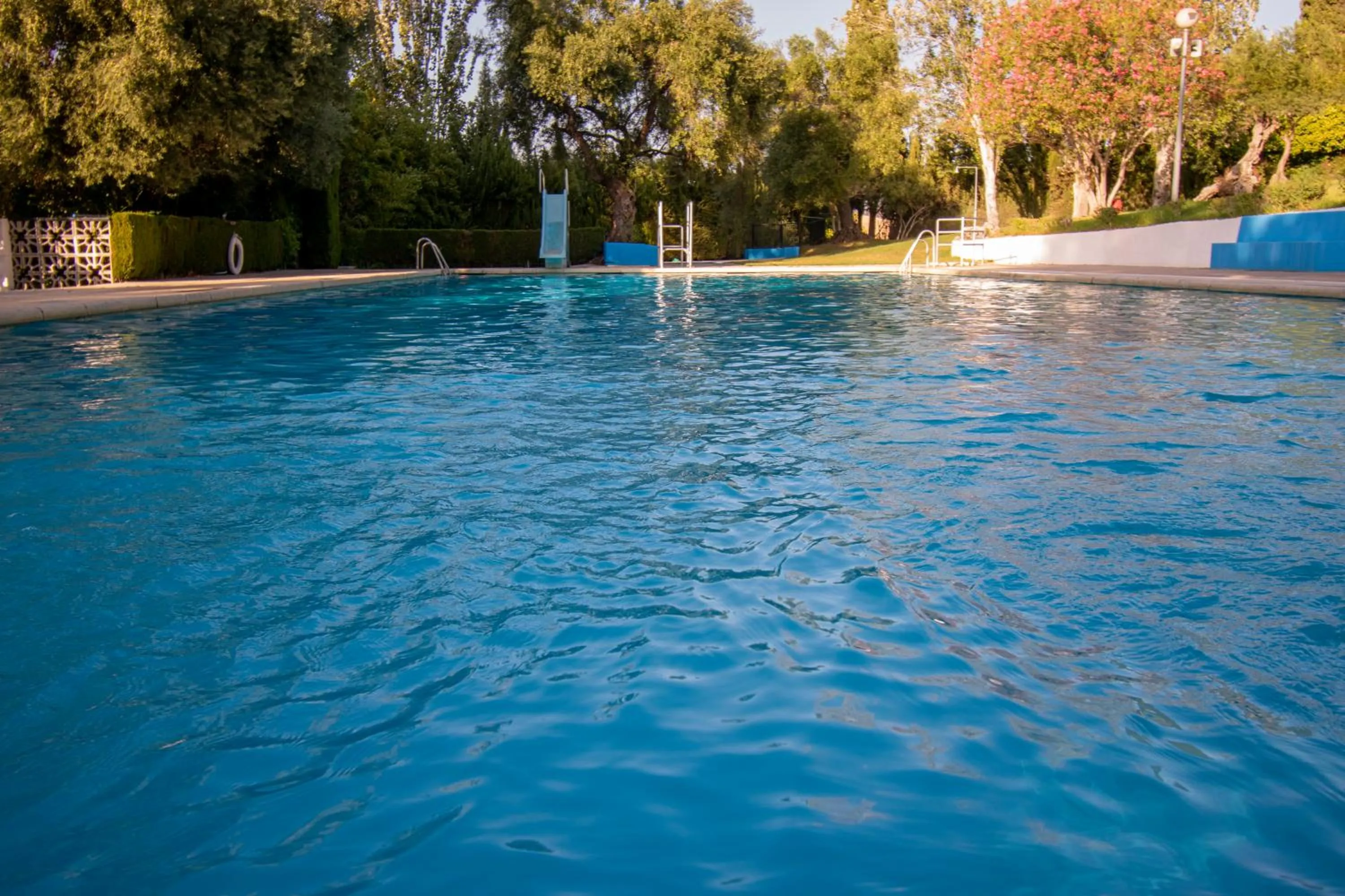 Swimming pool in Hotel del Carmen