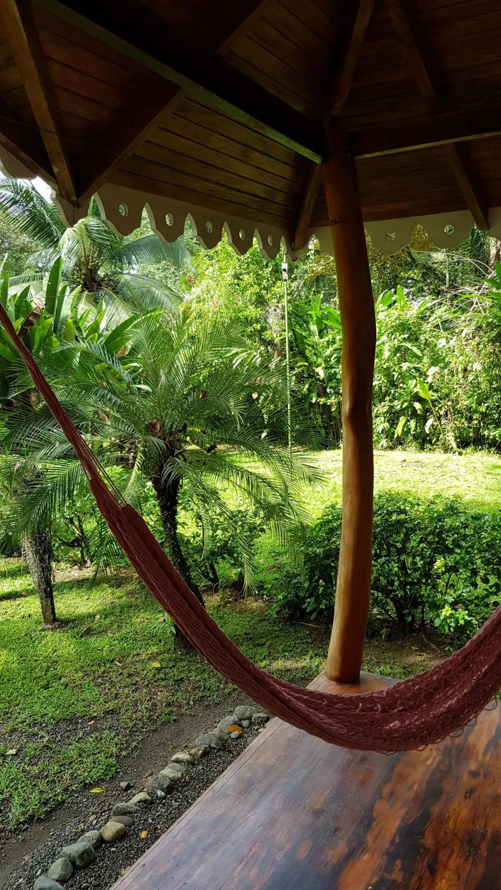 Garden in Ciudad Perdida EcoLodge