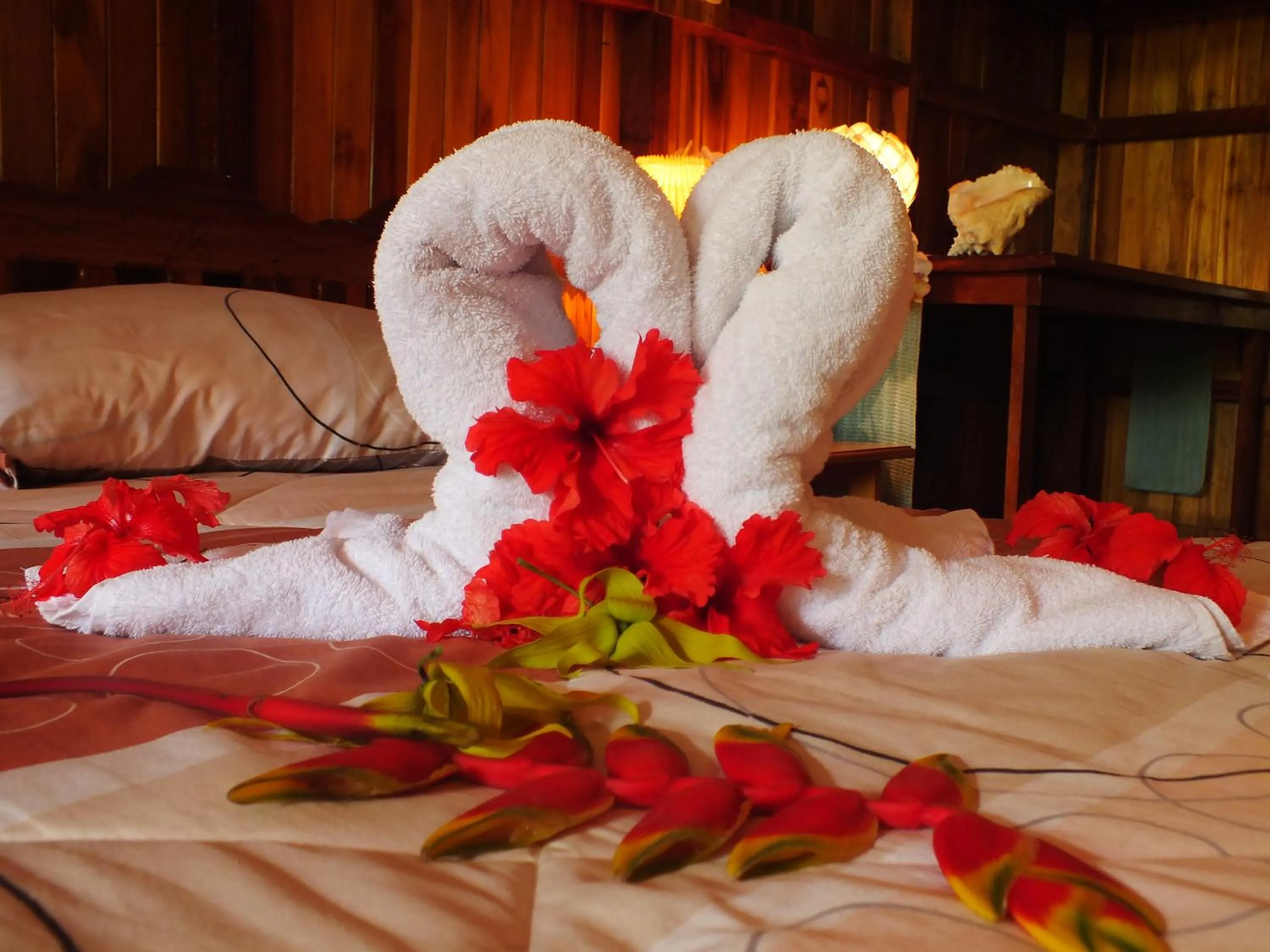 Other, Bed in Ciudad Perdida EcoLodge