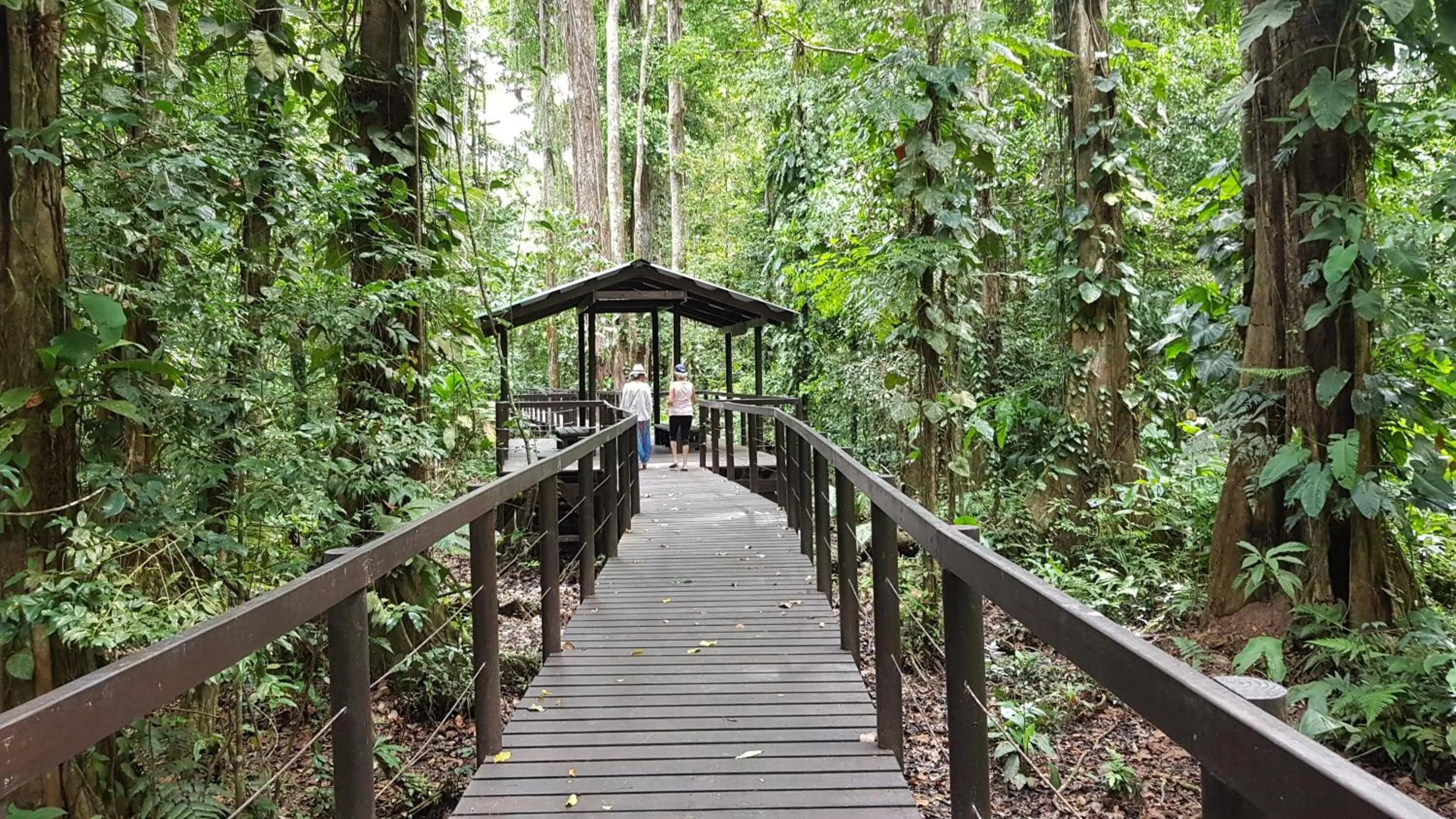 Activities in Ciudad Perdida EcoLodge