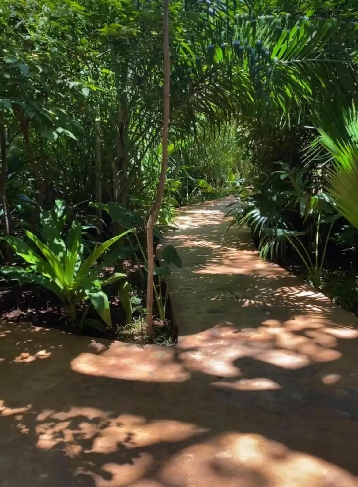 Garden in Baobab Africa Lodge Zanzibar