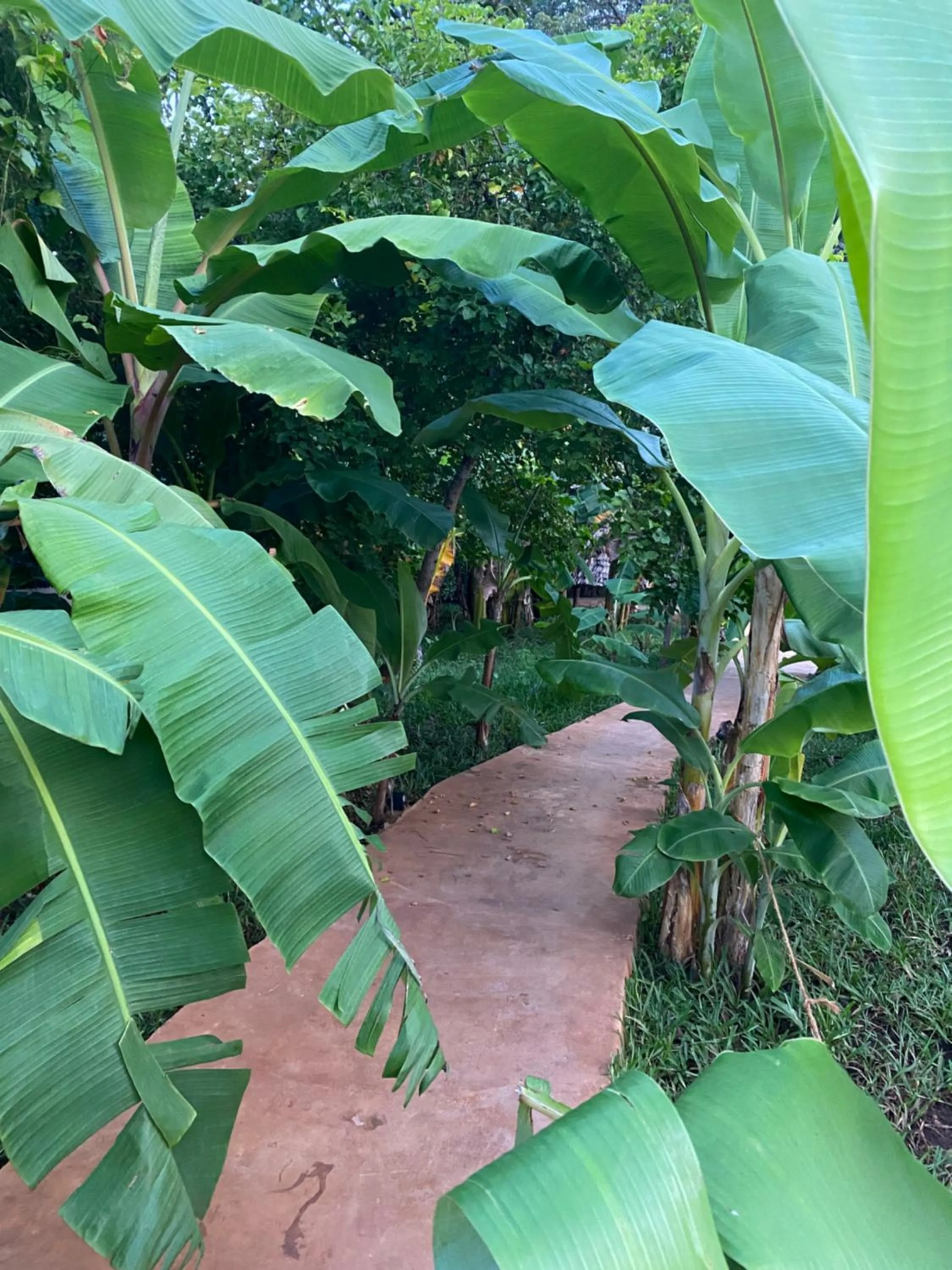 Day in Baobab Africa Lodge Zanzibar