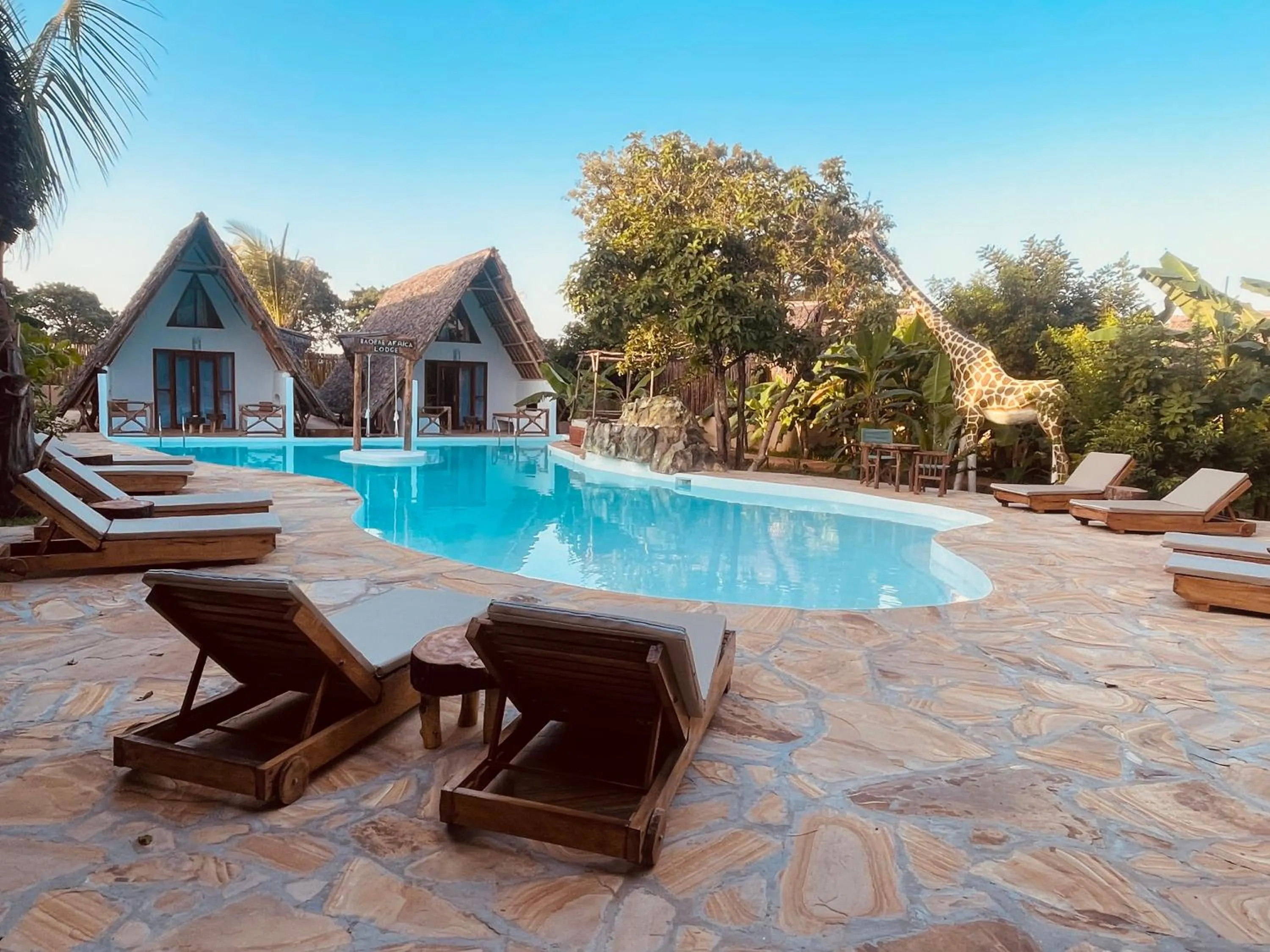 Pool view in Baobab Africa Lodge Zanzibar
