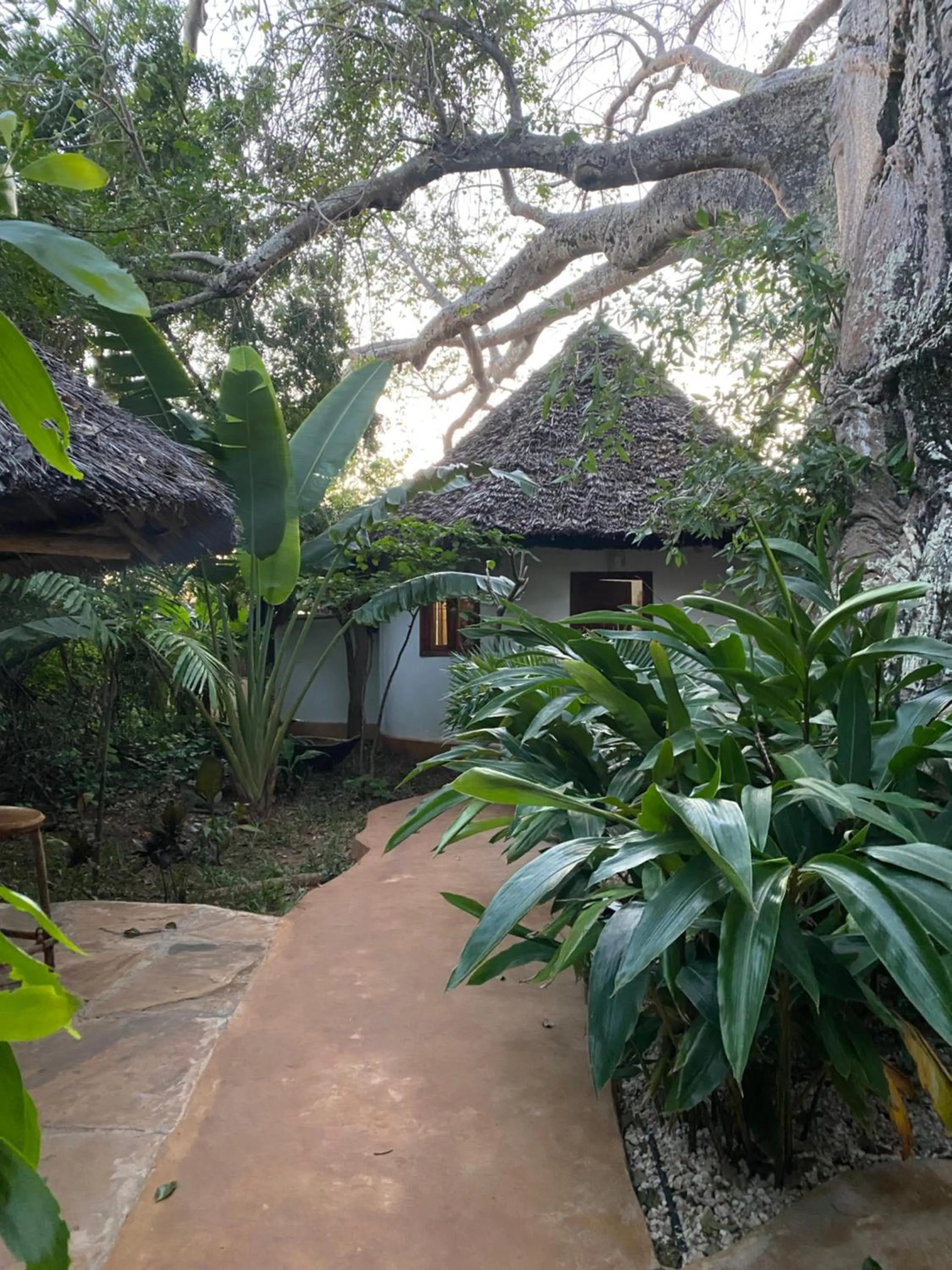 Day in Baobab Africa Lodge Zanzibar