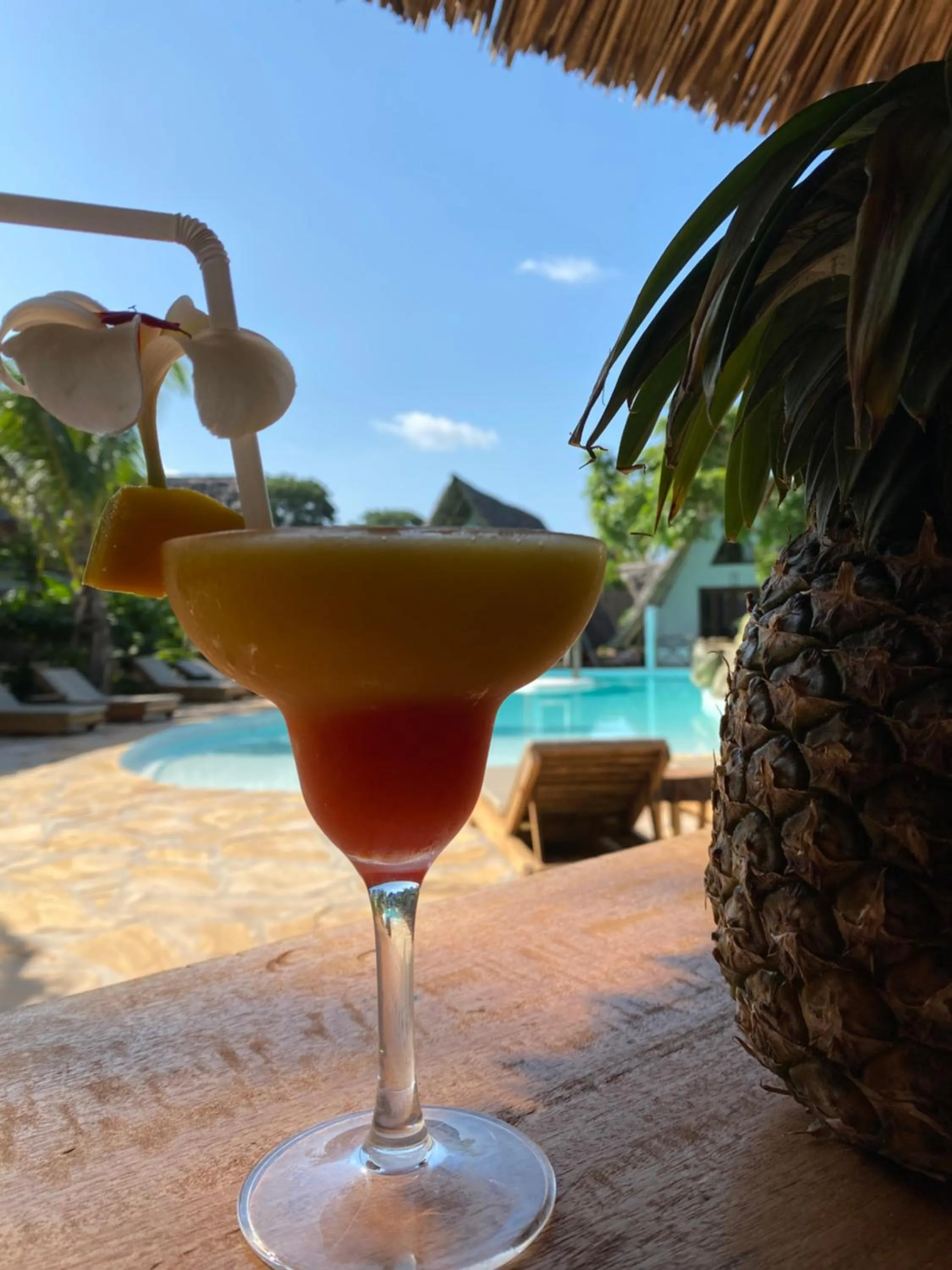 Day in Baobab Africa Lodge Zanzibar