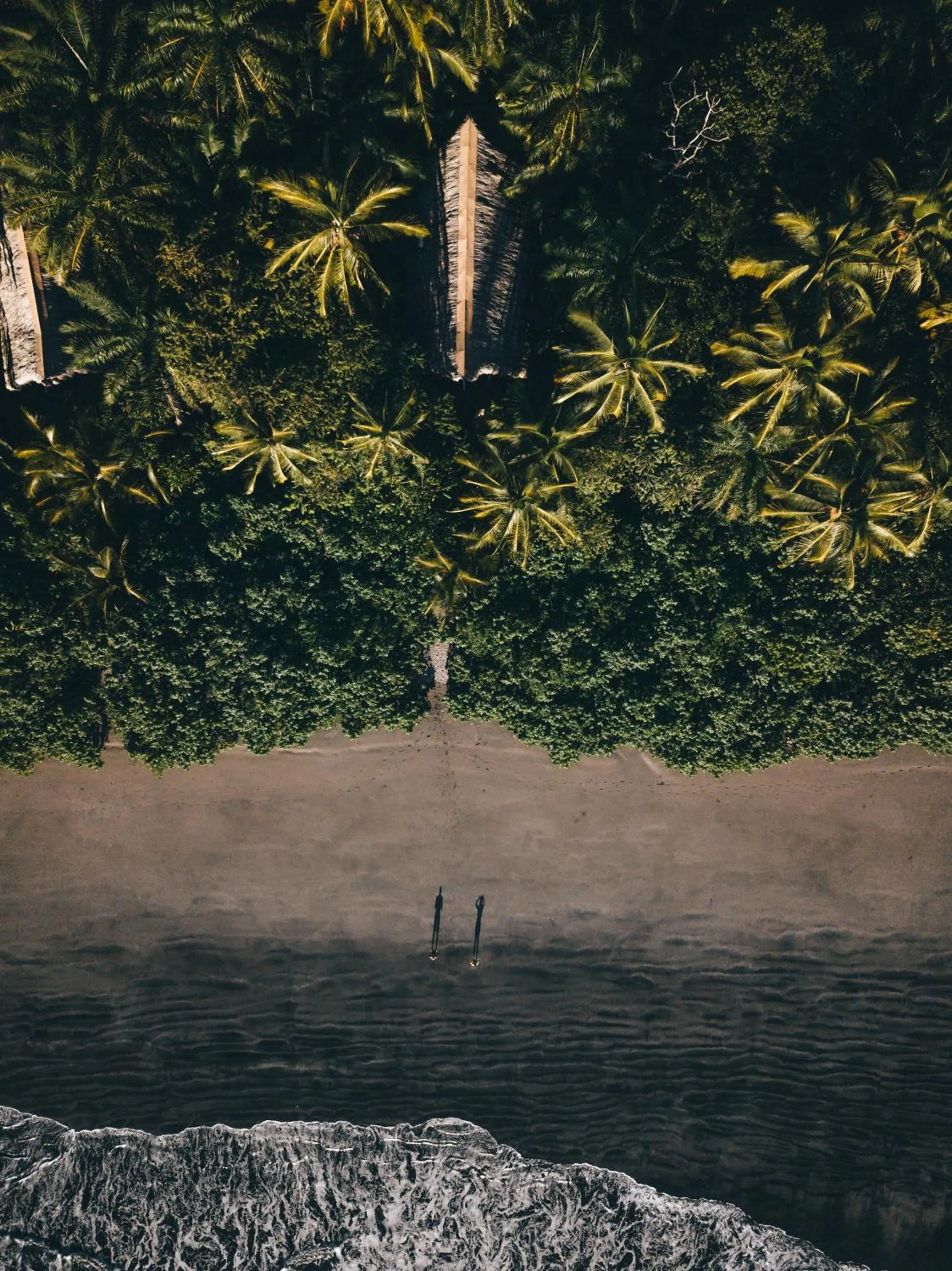 Beach in The Resort at Isla Palenque Member of the Cayuga Collection