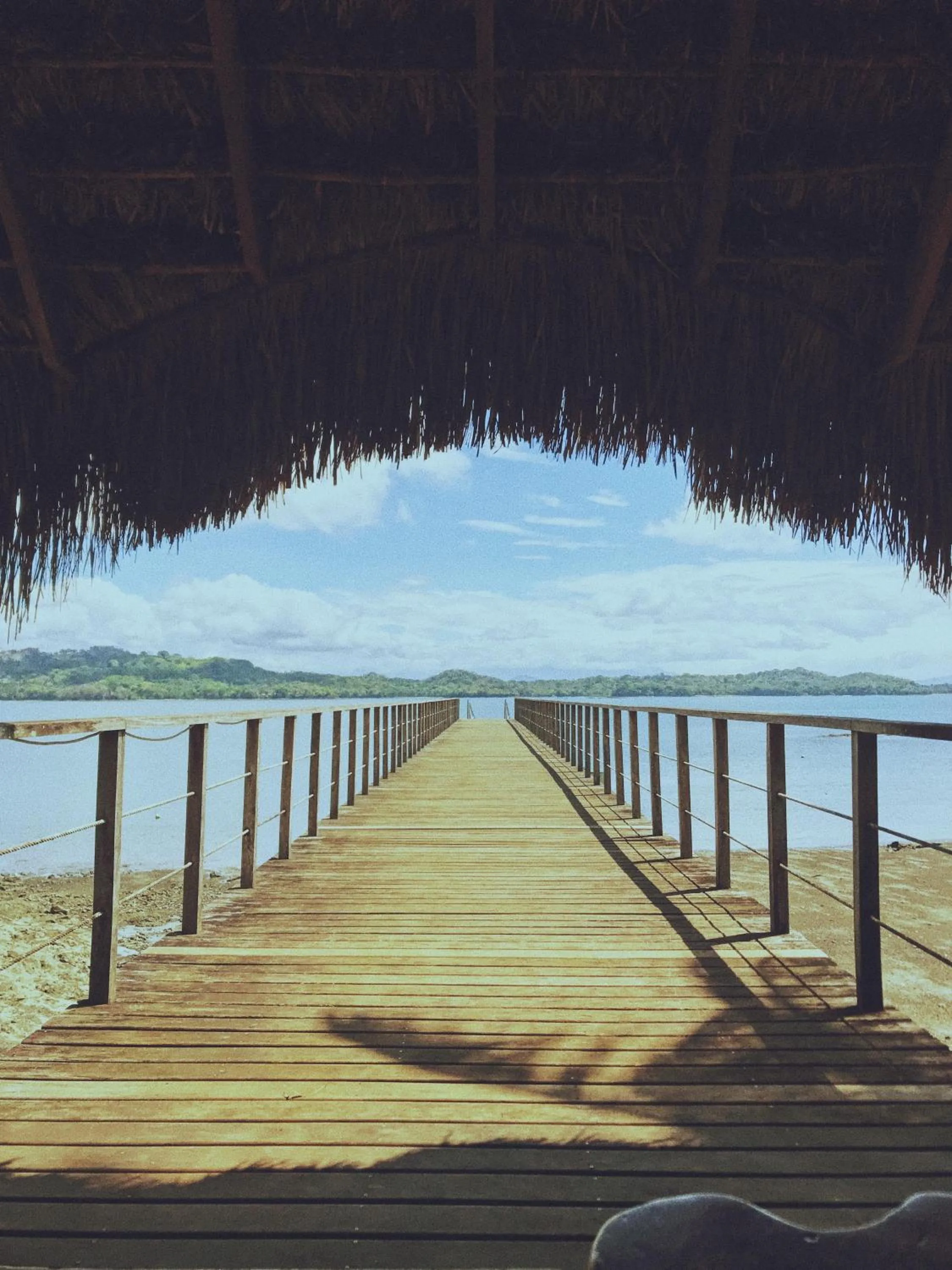Natural landscape in The Resort at Isla Palenque Member of the Cayuga Collection