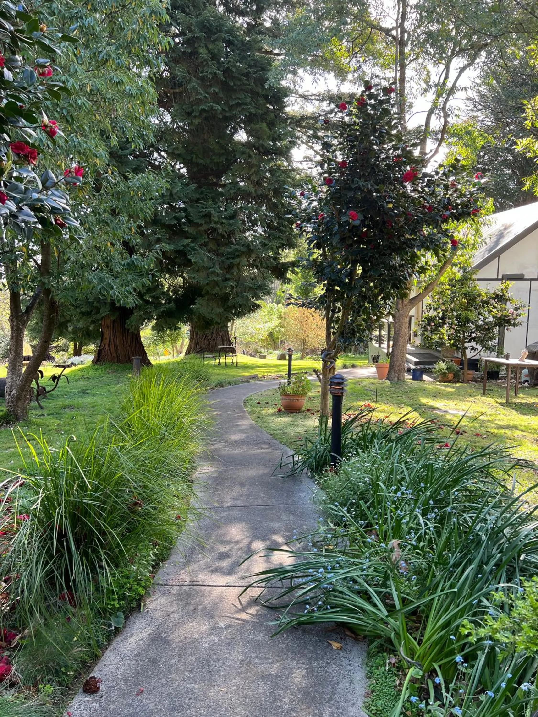 Olinda Country Cottages