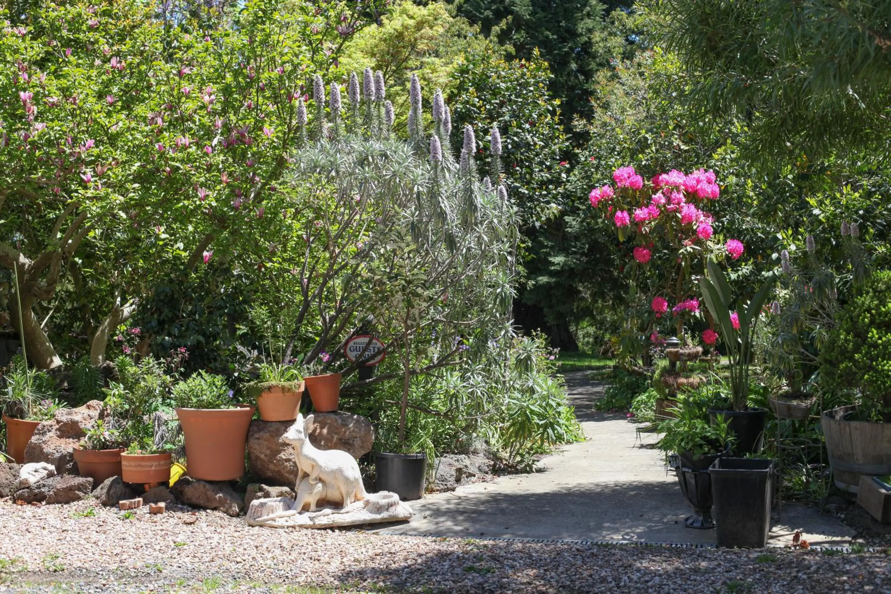 Garden in Olinda Country Cottages