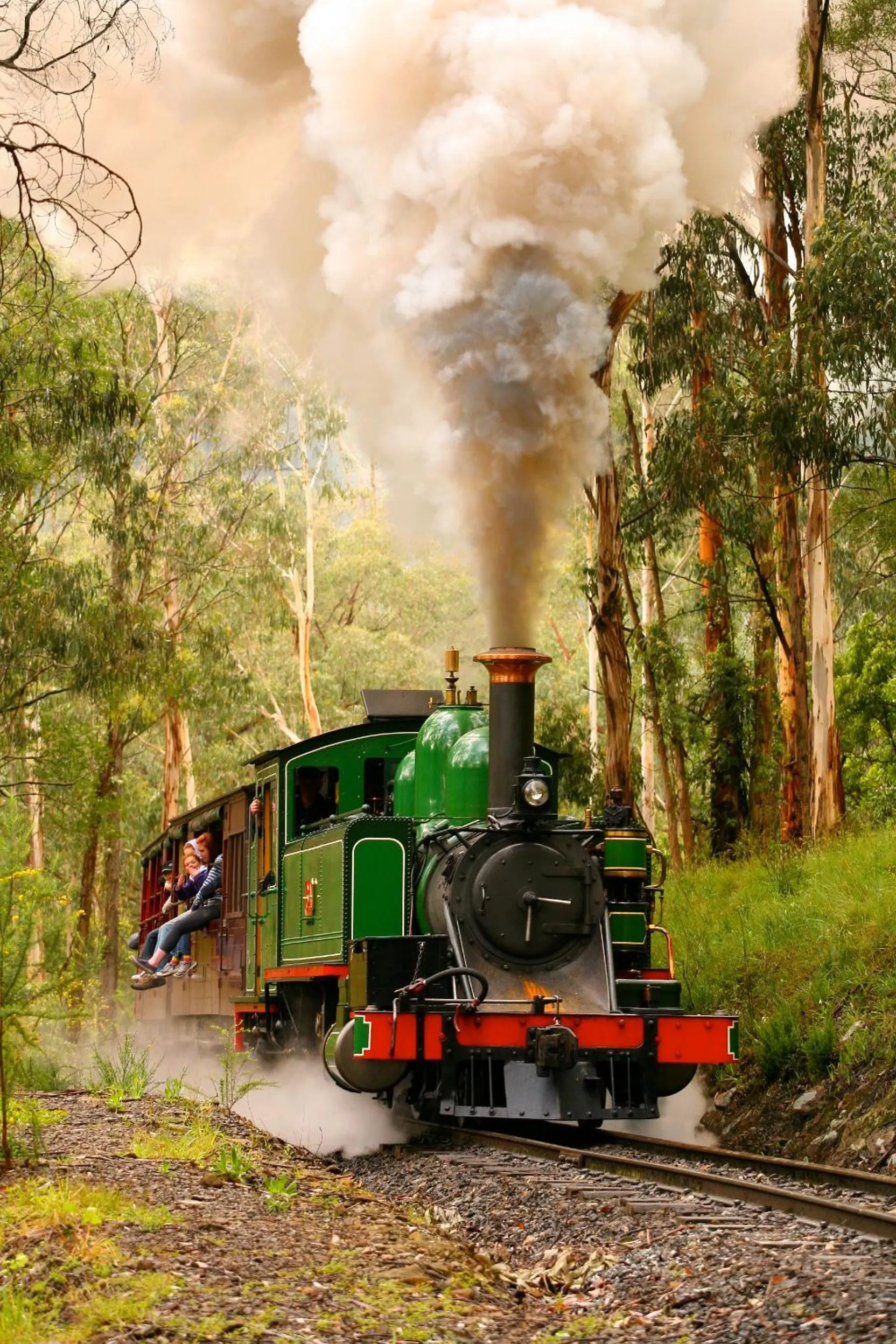 Activities in Olinda Country Cottages