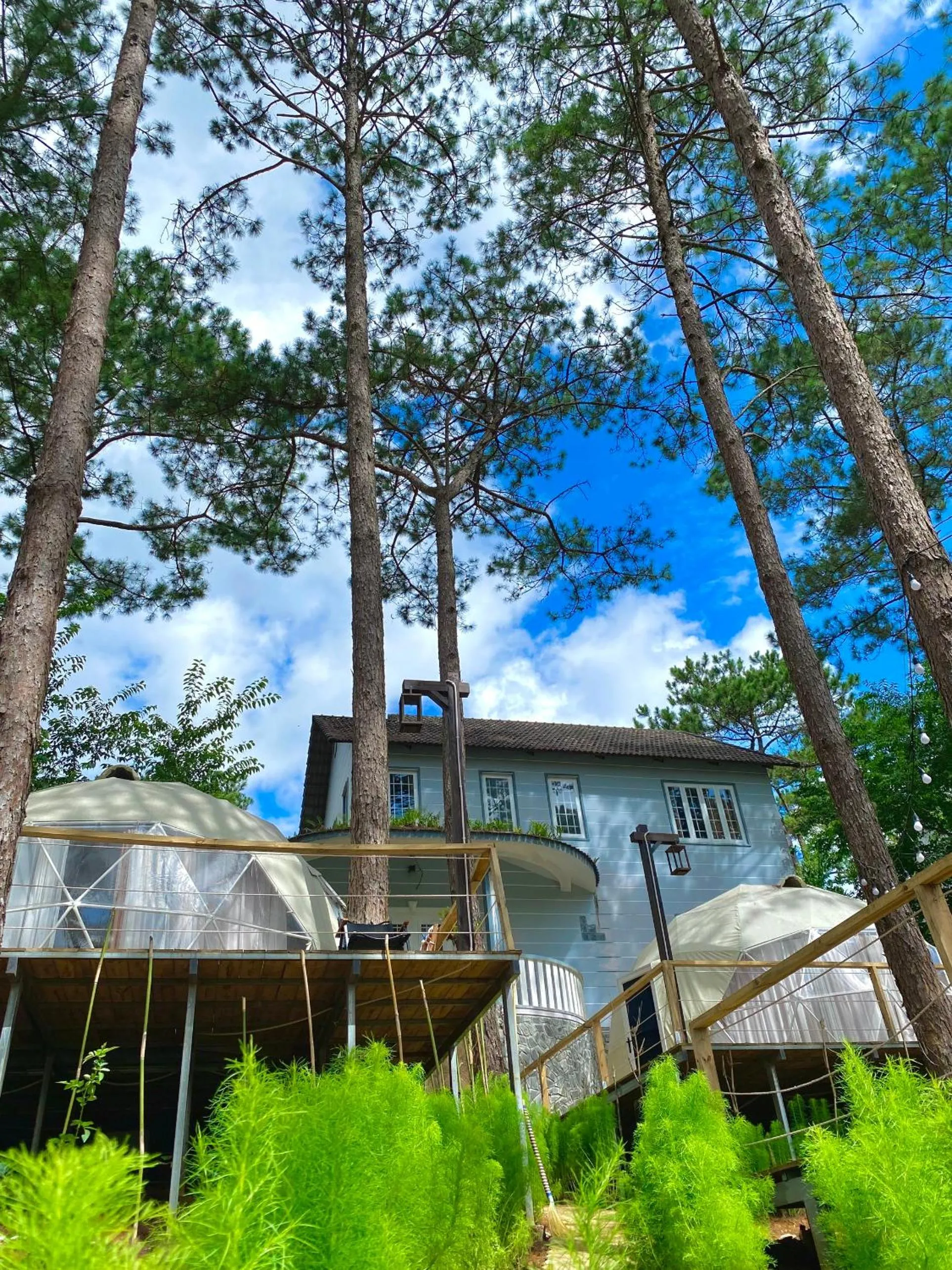 Garden in De Vivre Homestay Măng Đen