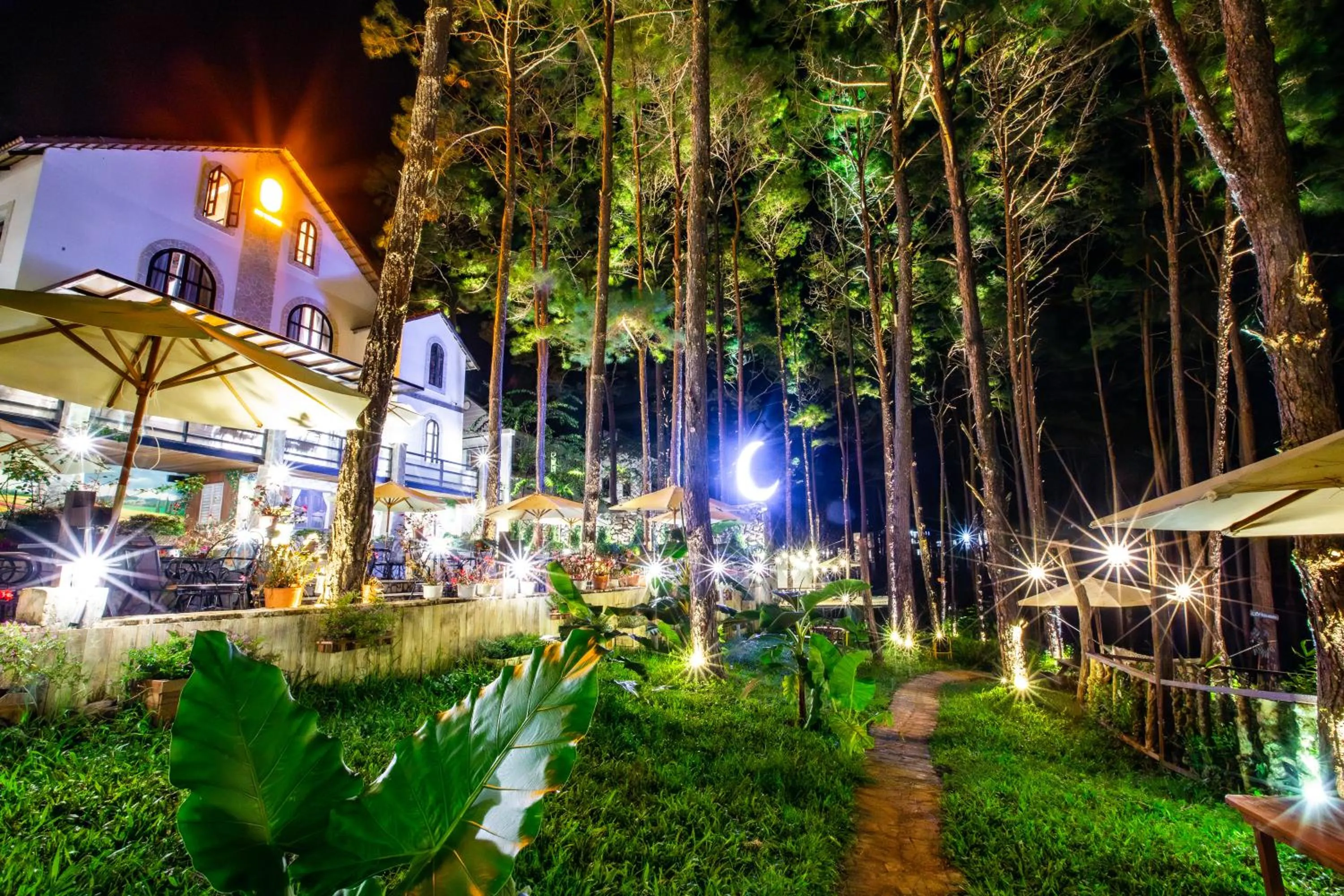 Photo of the whole room in De Vivre Homestay Măng Đen
