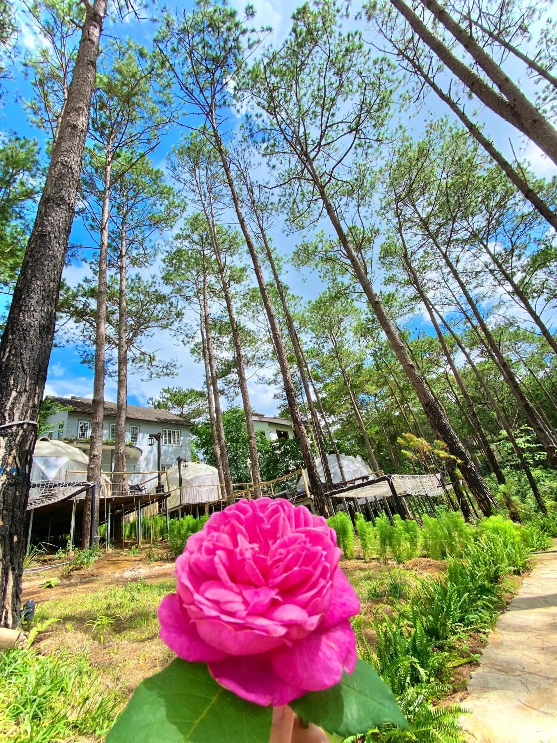 Spring in De Vivre Homestay Măng Đen