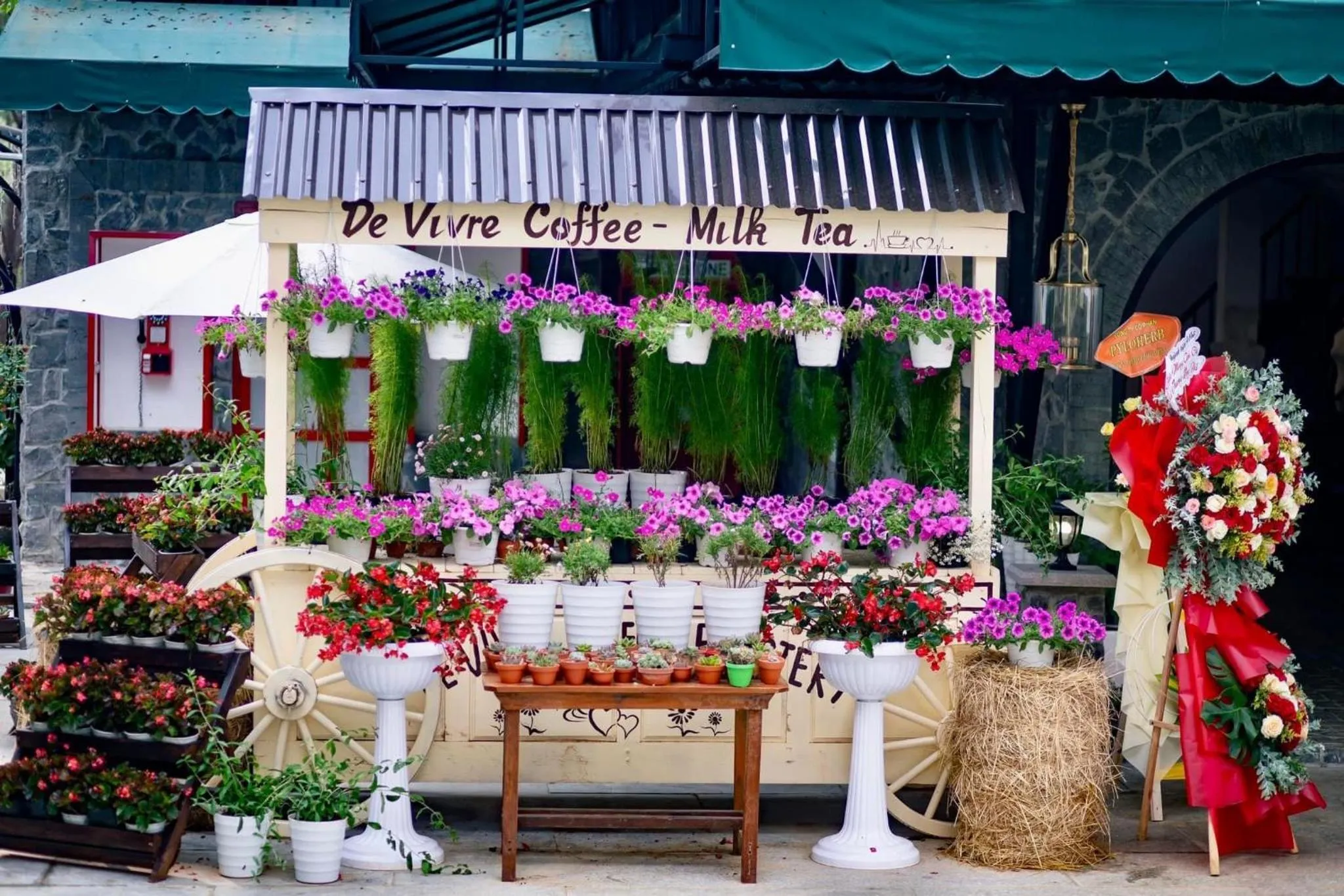 Garden in De Vivre Homestay Măng Đen