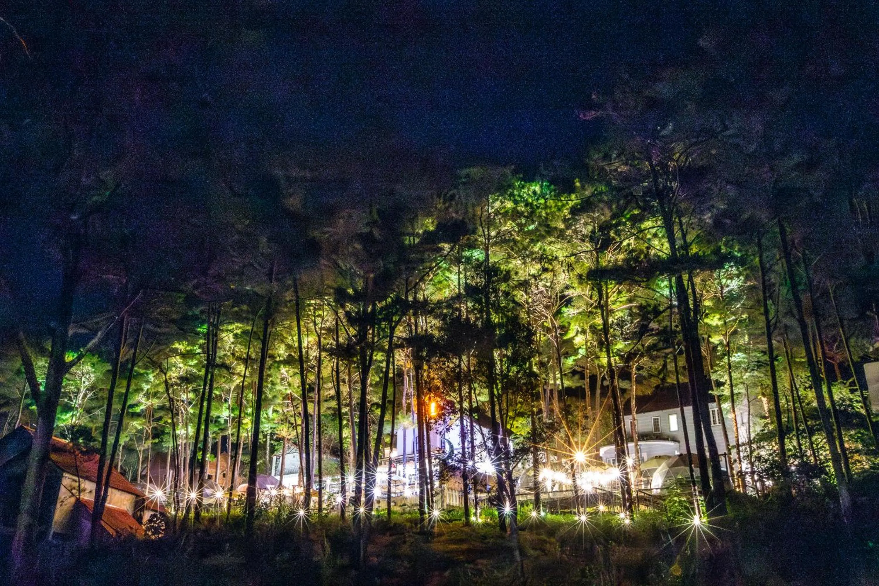 On site in De Vivre Homestay Măng Đen