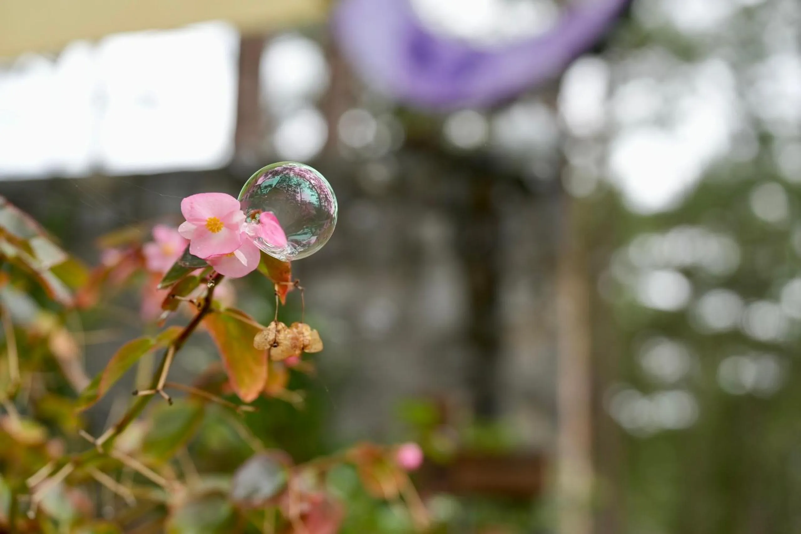 Decorative detail in De Vivre Homestay Măng Đen