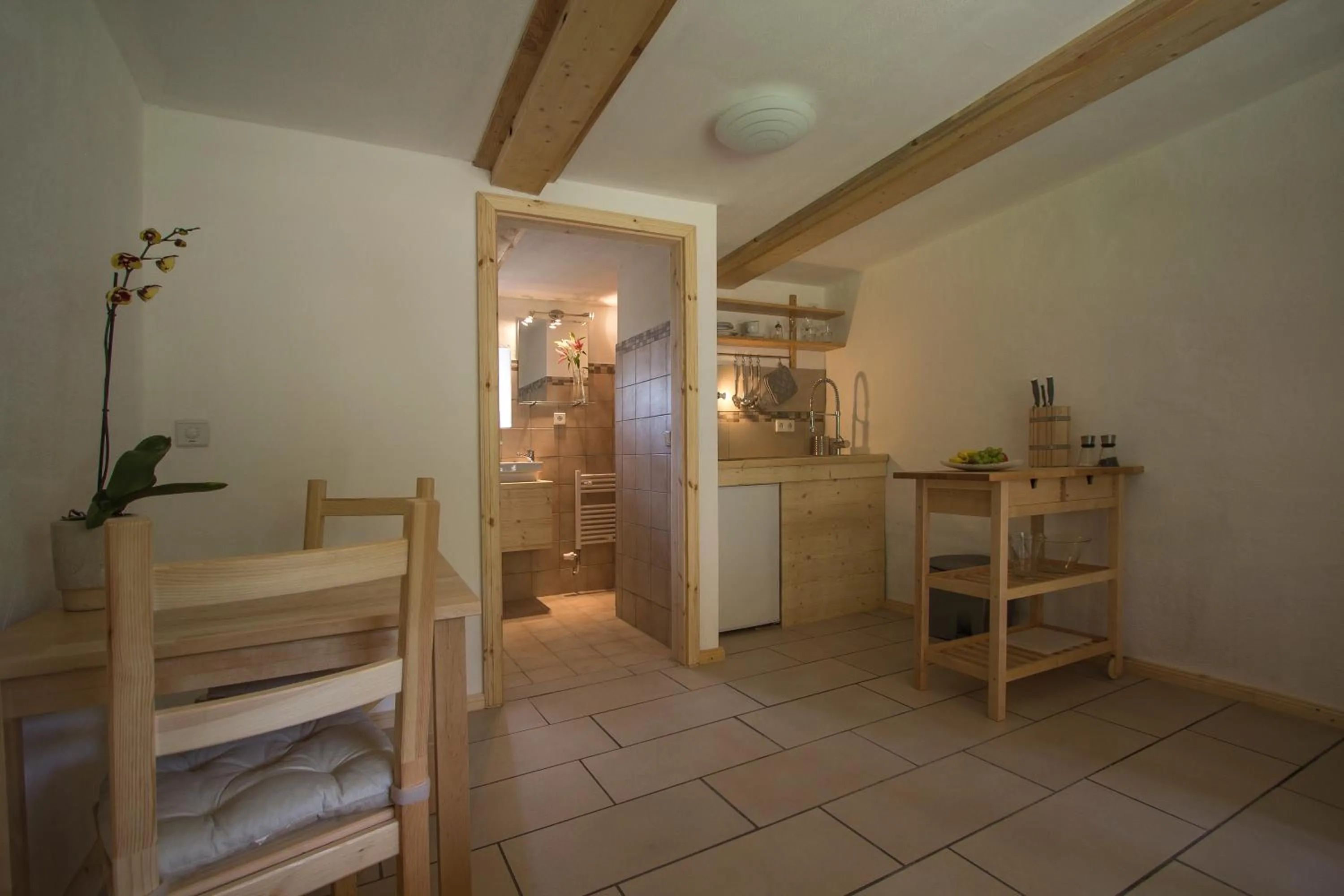 Kitchen or kitchenette in Aparthotel & Seminarhaus Wolkentor