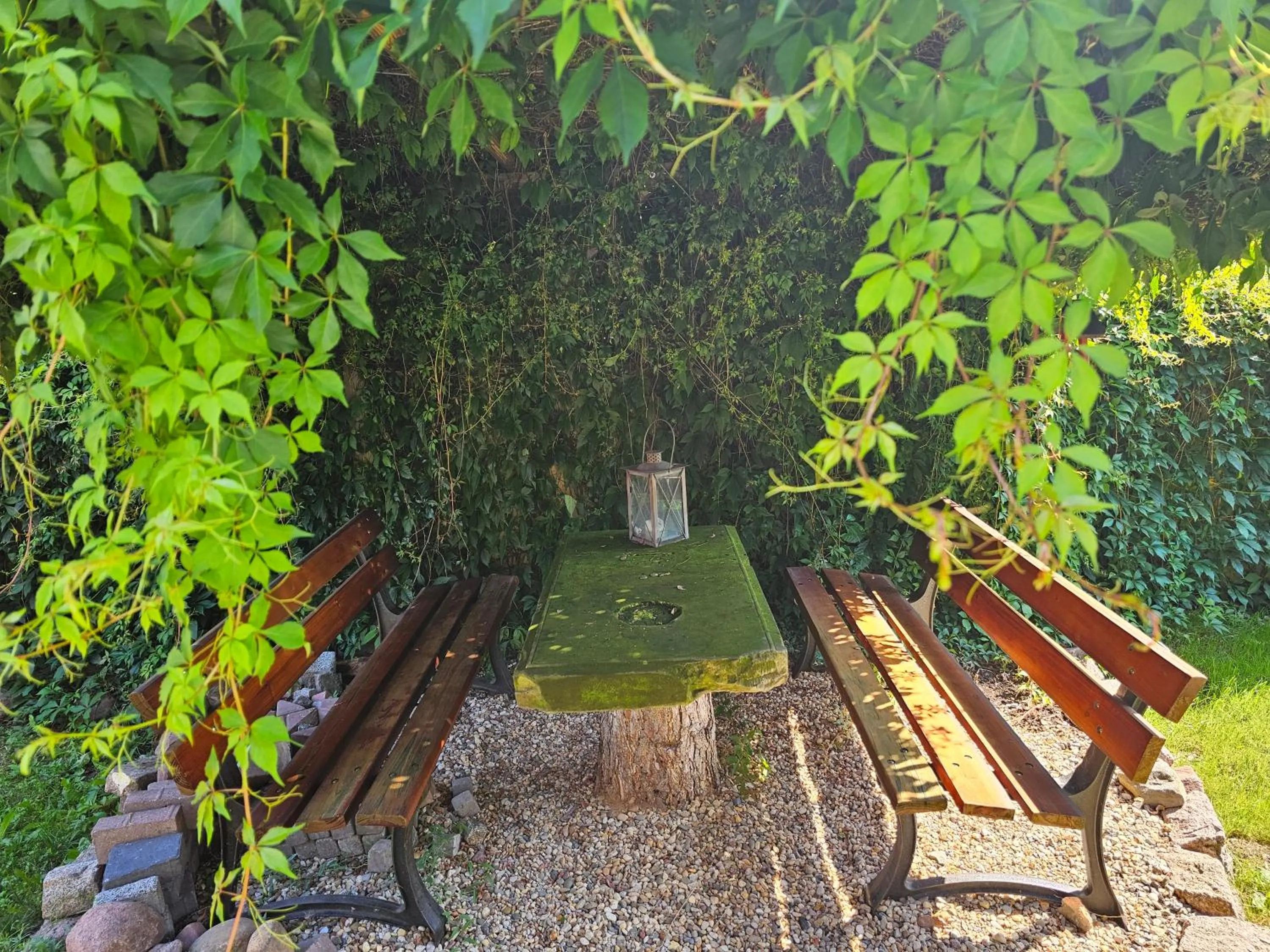 Garden in Aparthotel & Seminarhaus Wolkentor