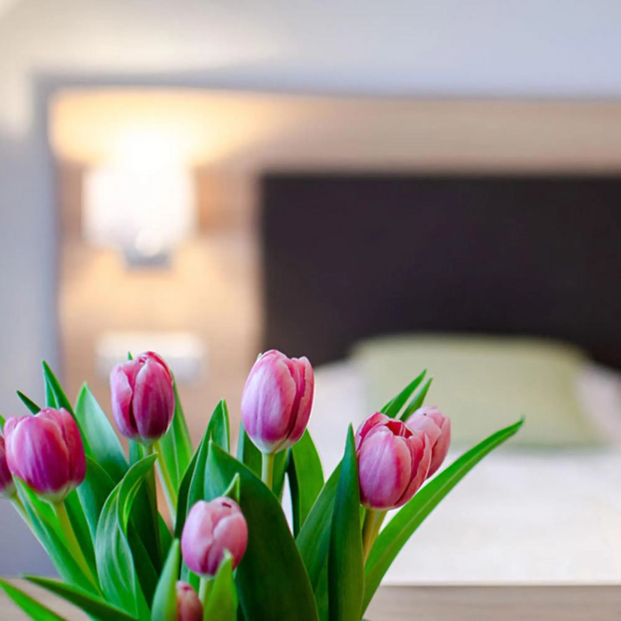 Bed in Appartements 'In Vino Veritas'