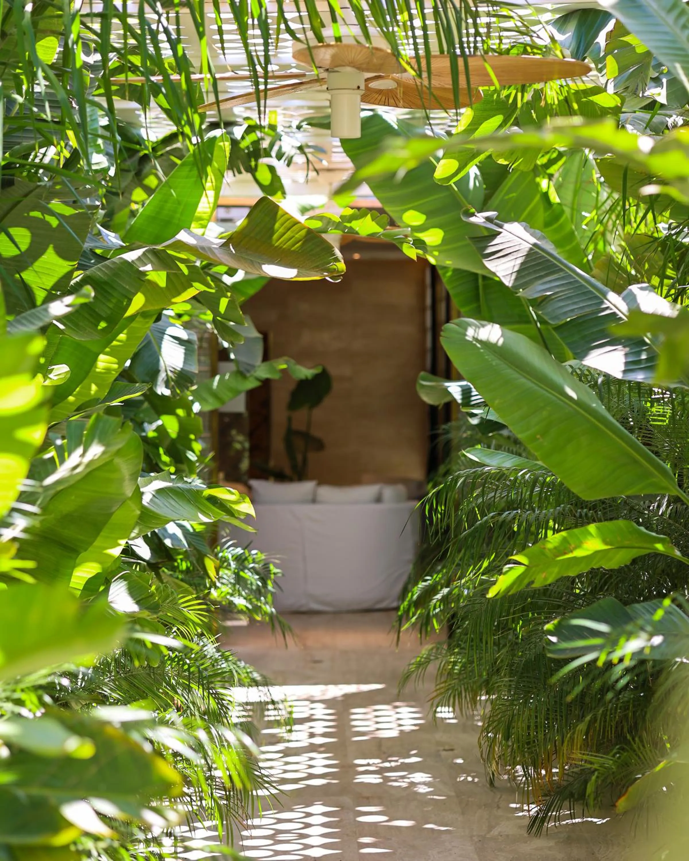 Garden in The Xon Hotel